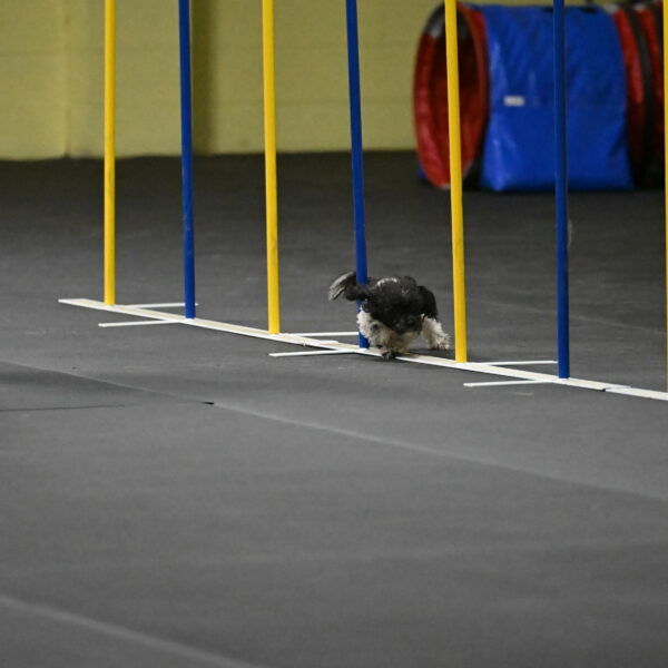 Cowboy-Bourell-Casey-08181