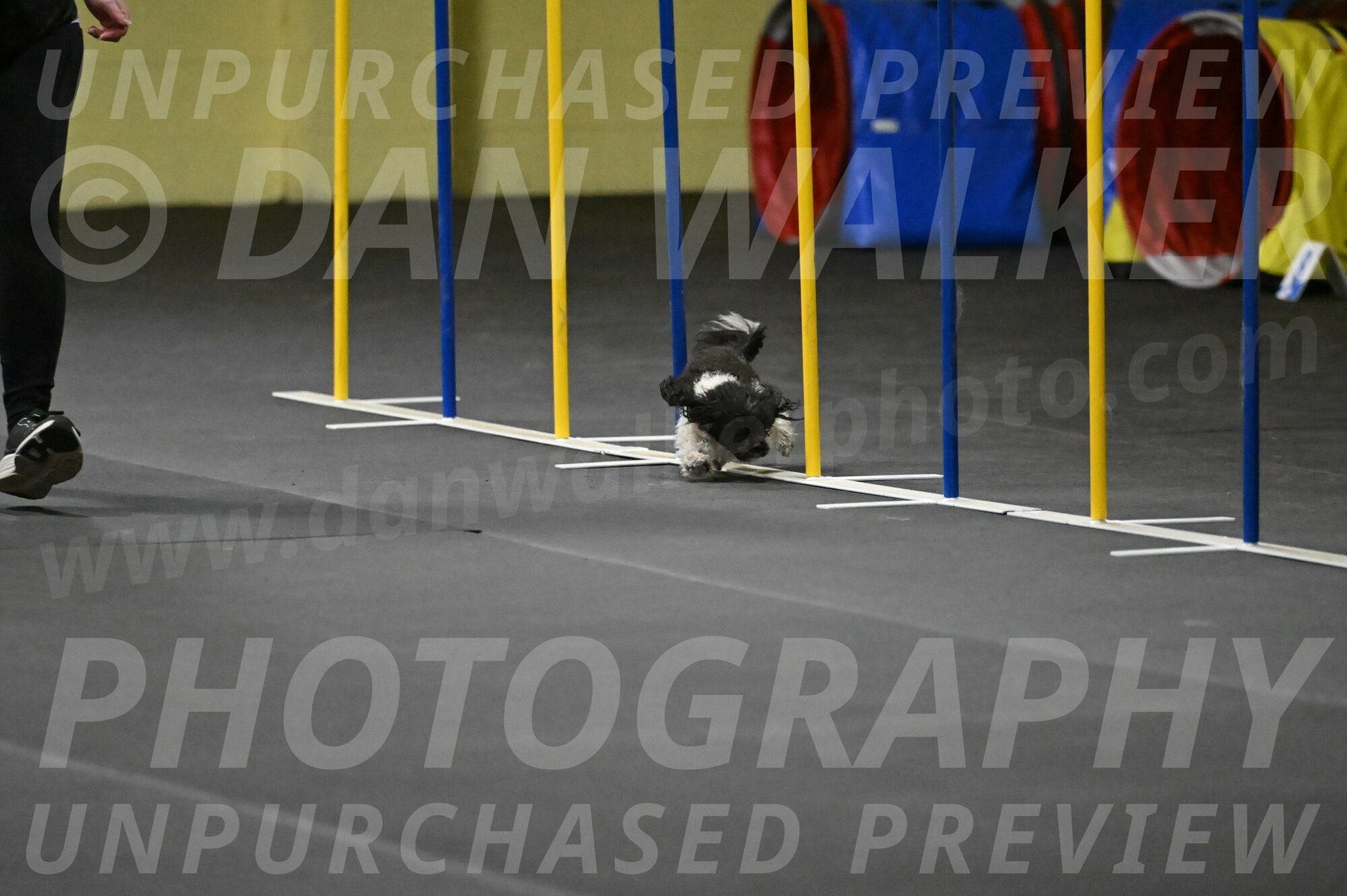 Cowboy-Bourell-Casey-08182