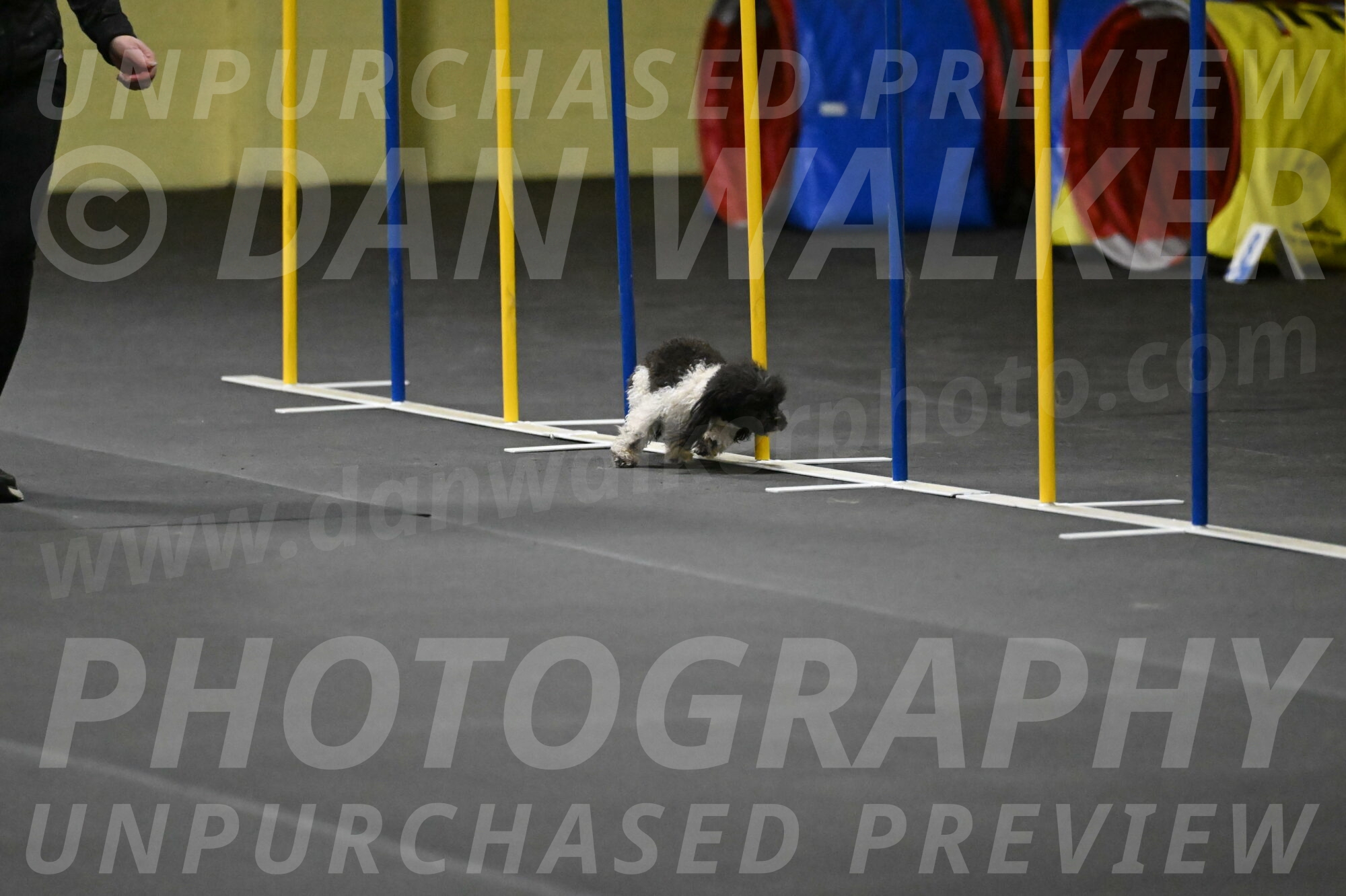 Cowboy-Bourell-Casey-08183