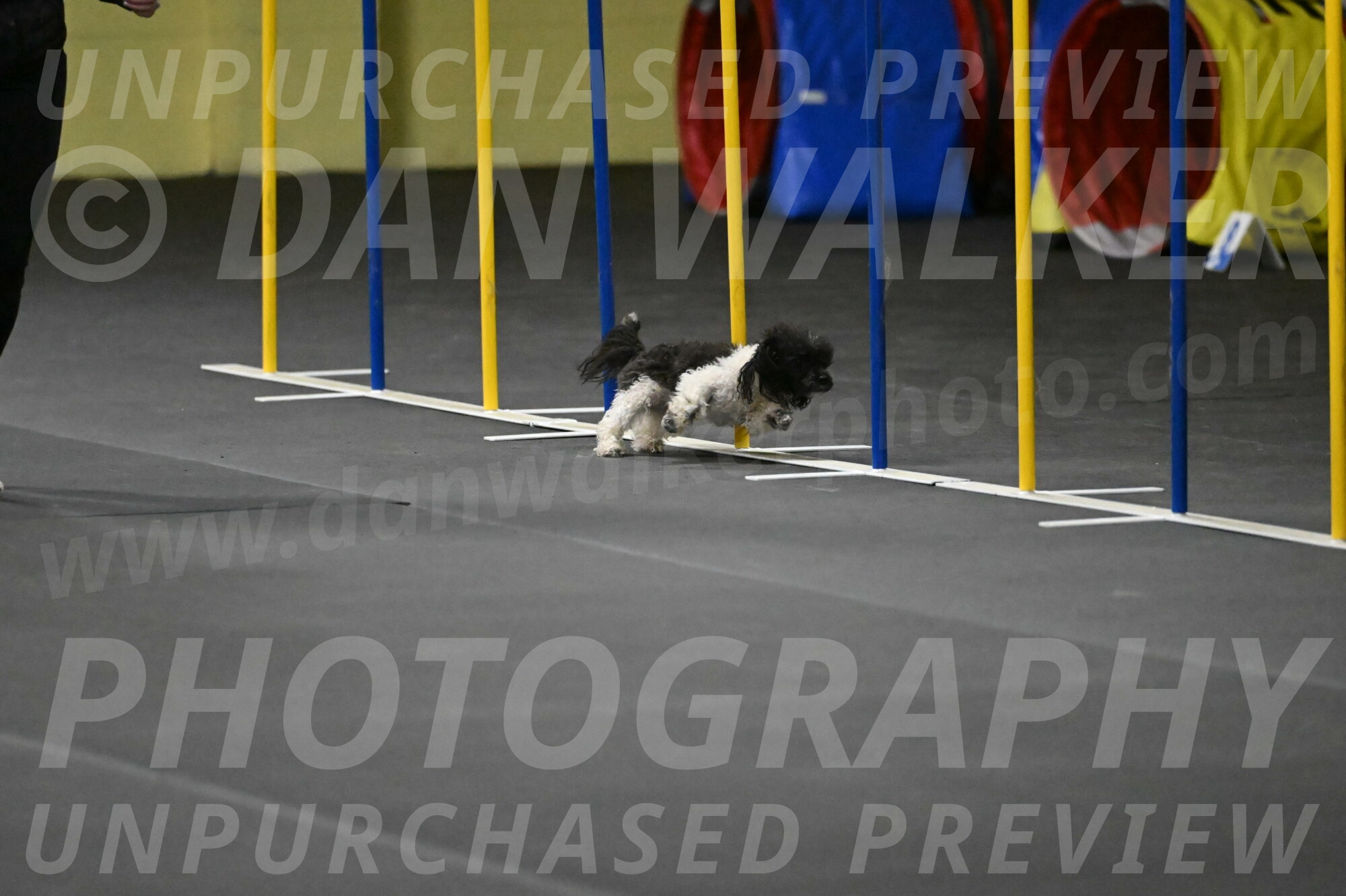 Cowboy-Bourell-Casey-08184