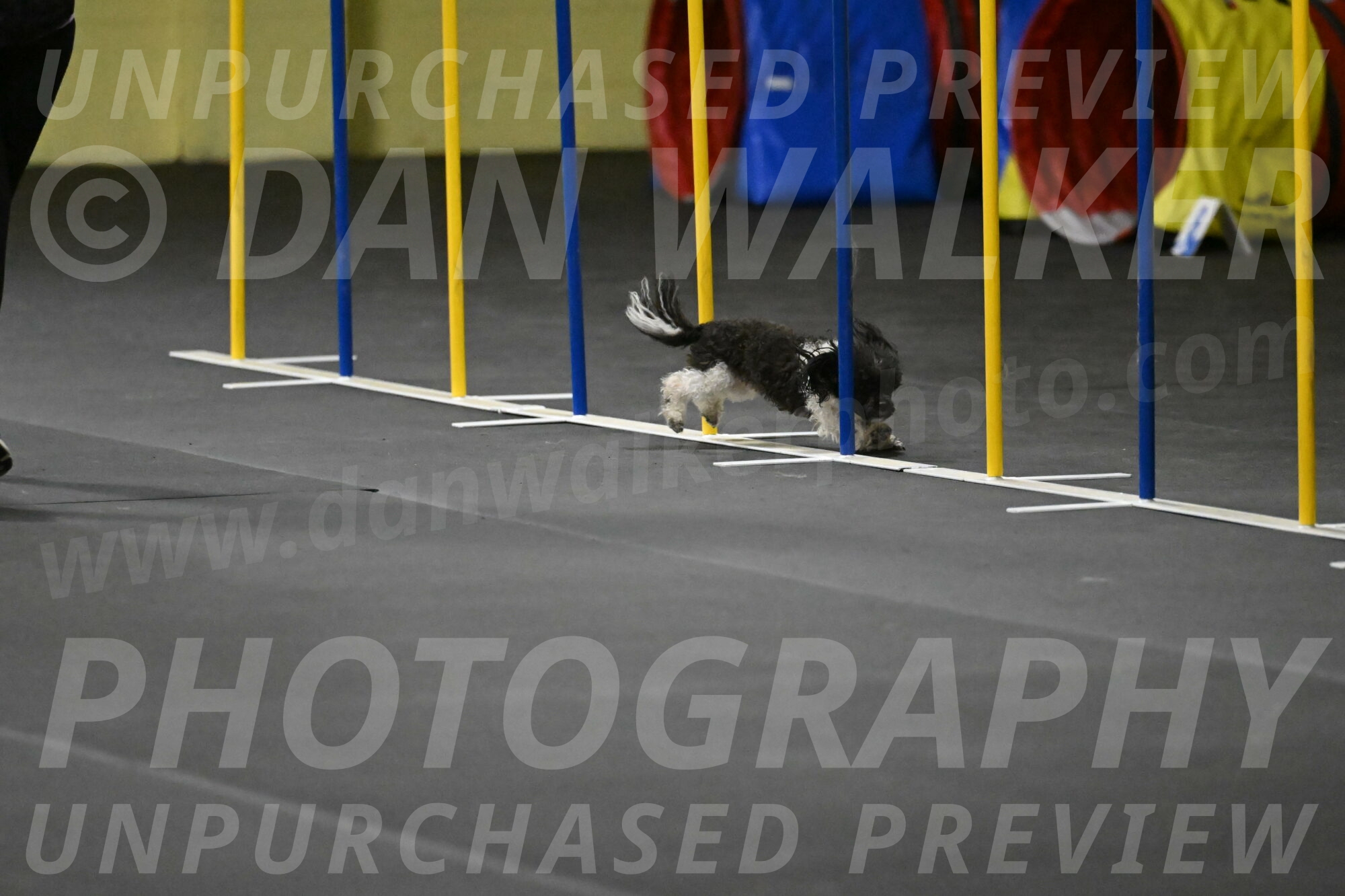 Cowboy-Bourell-Casey-08185