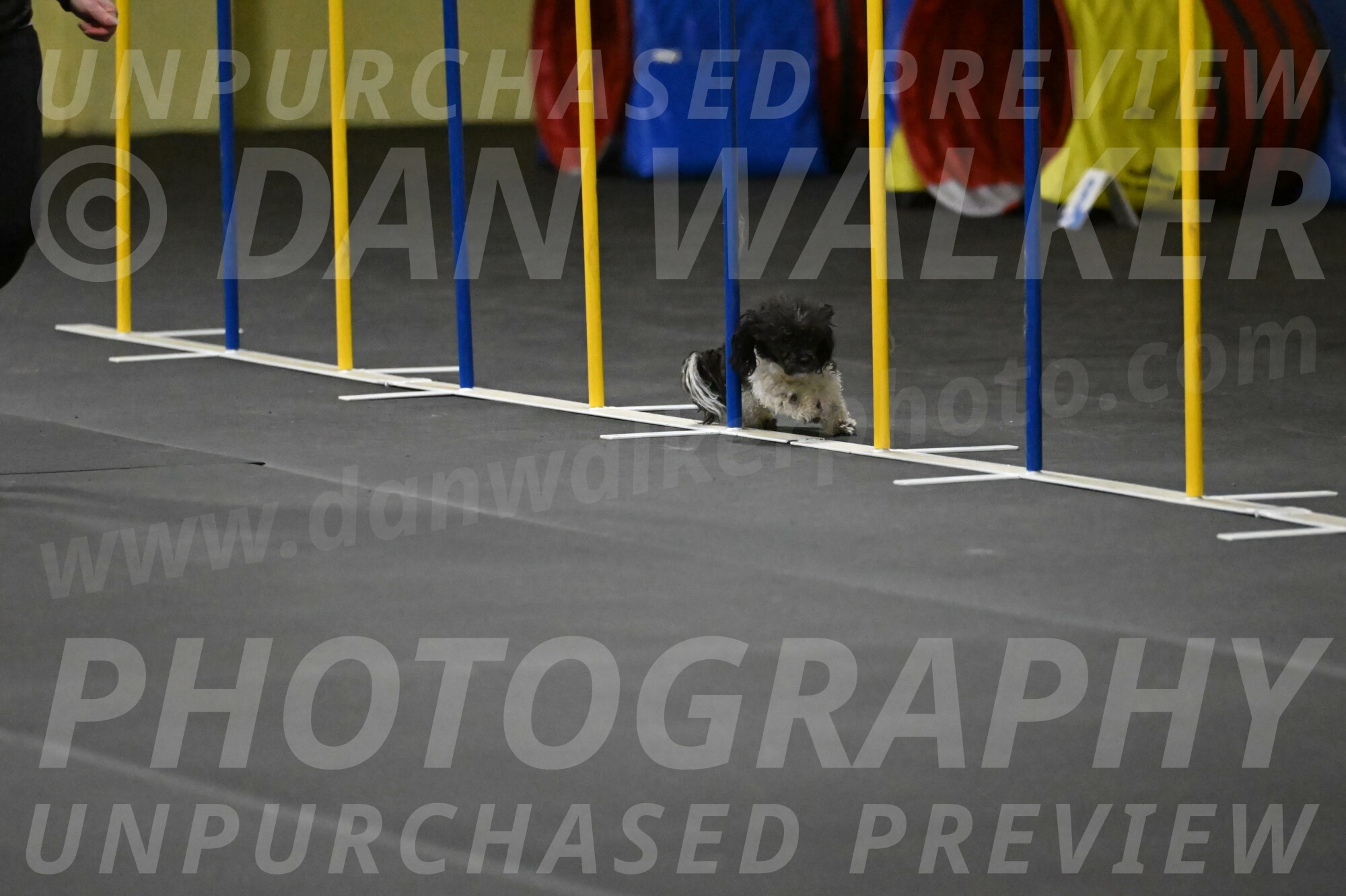 Cowboy-Bourell-Casey-08187