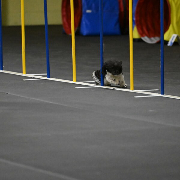 Cowboy-Bourell-Casey-08187