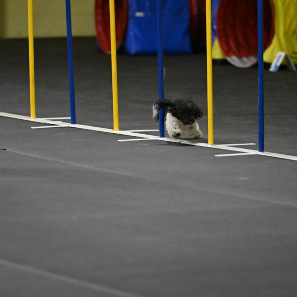 Cowboy-Bourell-Casey-08188