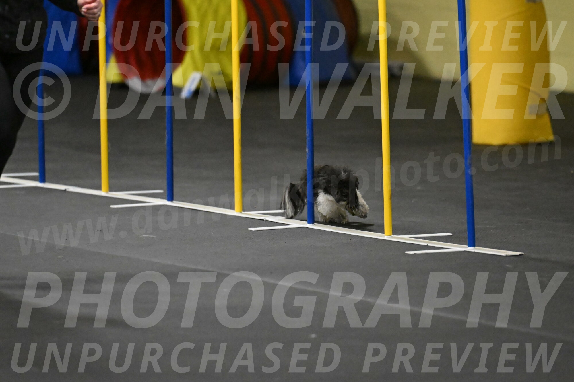 Cowboy-Bourell-Casey-08197