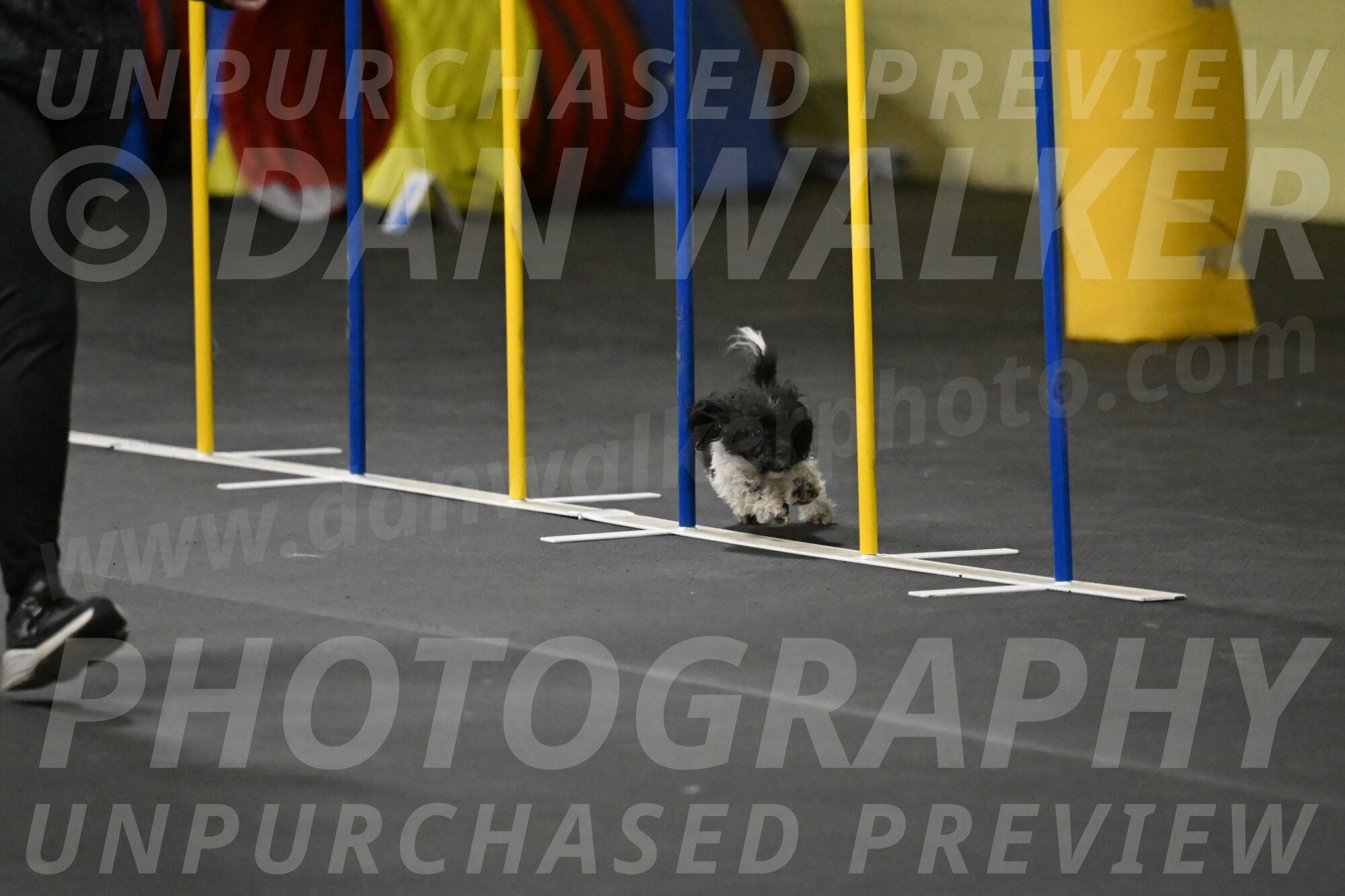 Cowboy-Bourell-Casey-08198