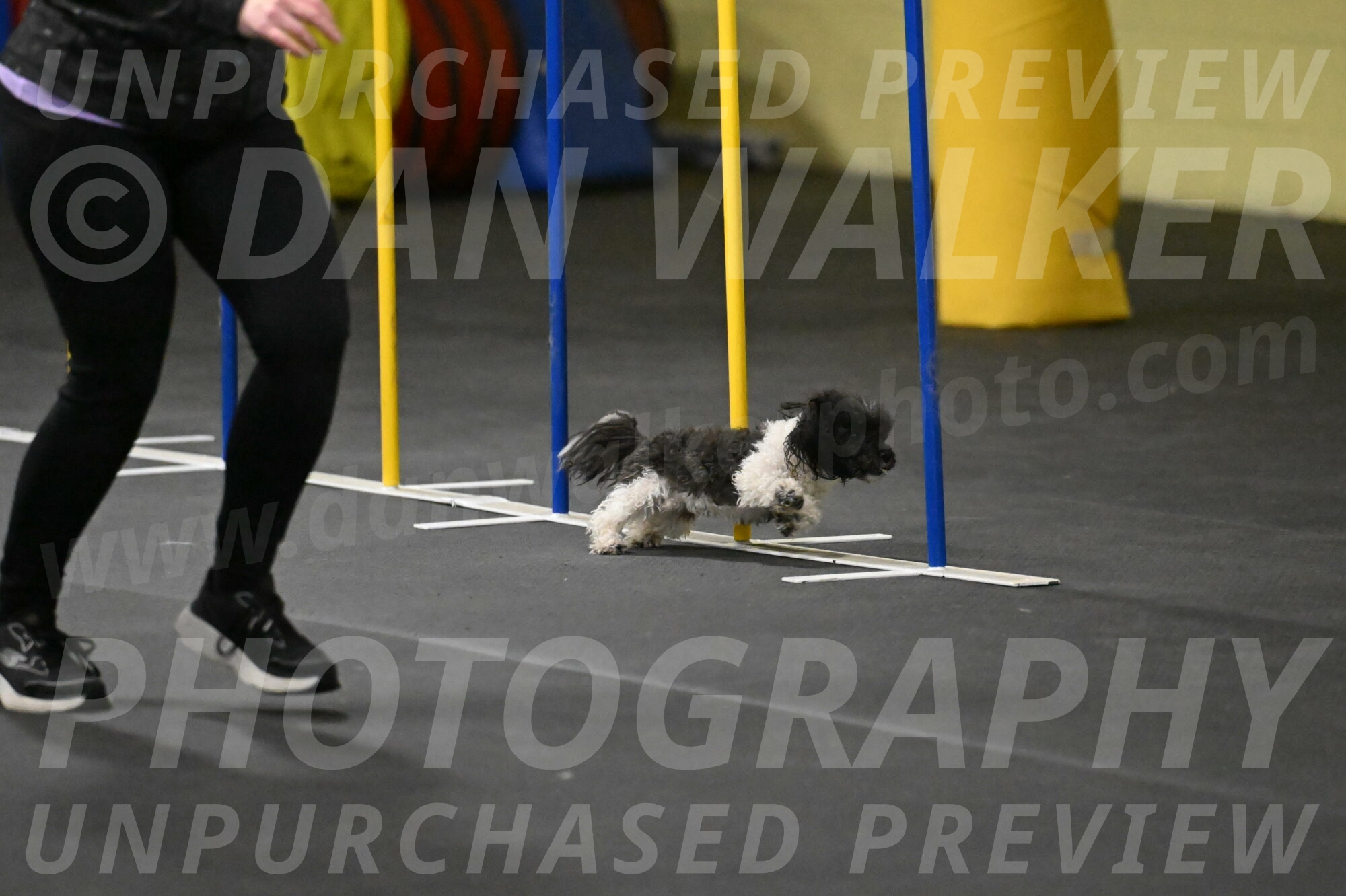 Cowboy-Bourell-Casey-08201