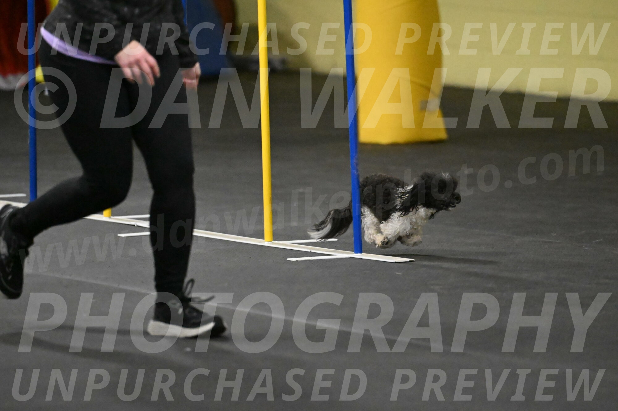 Cowboy-Bourell-Casey-08203