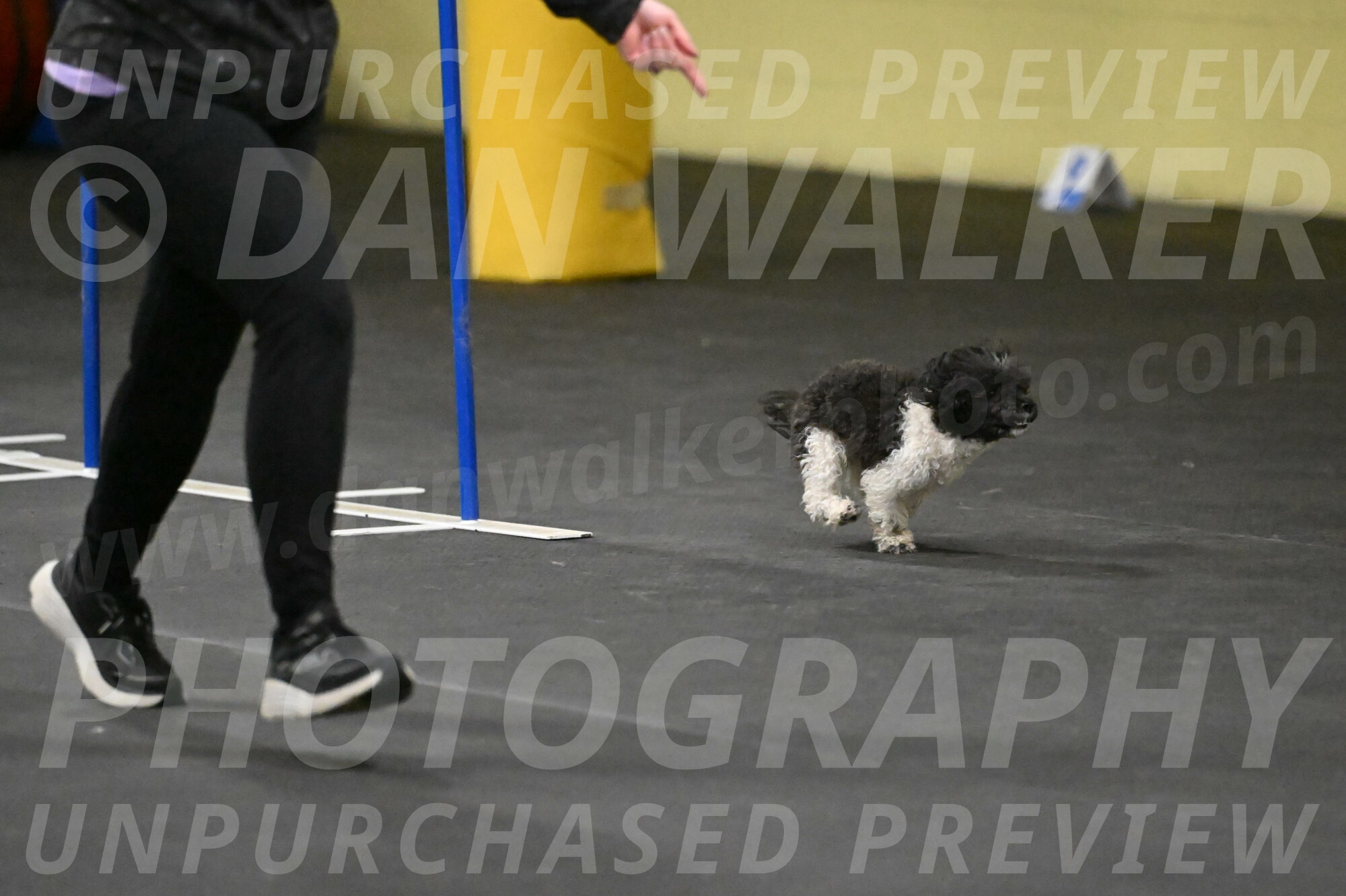 Cowboy-Bourell-Casey-08205