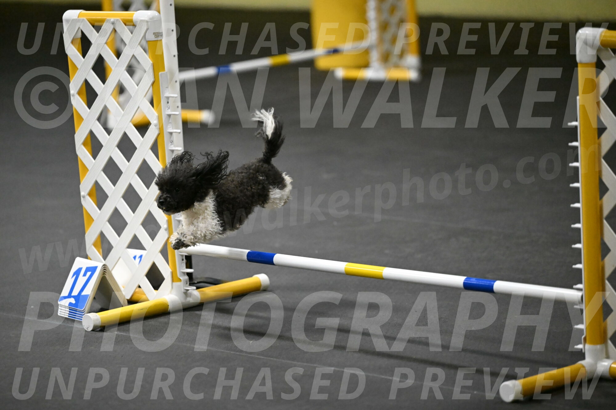 Cowboy-Bourell-Casey-08215