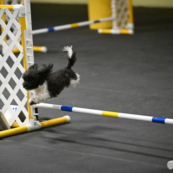 Cowboy-Bourell-Casey-08215