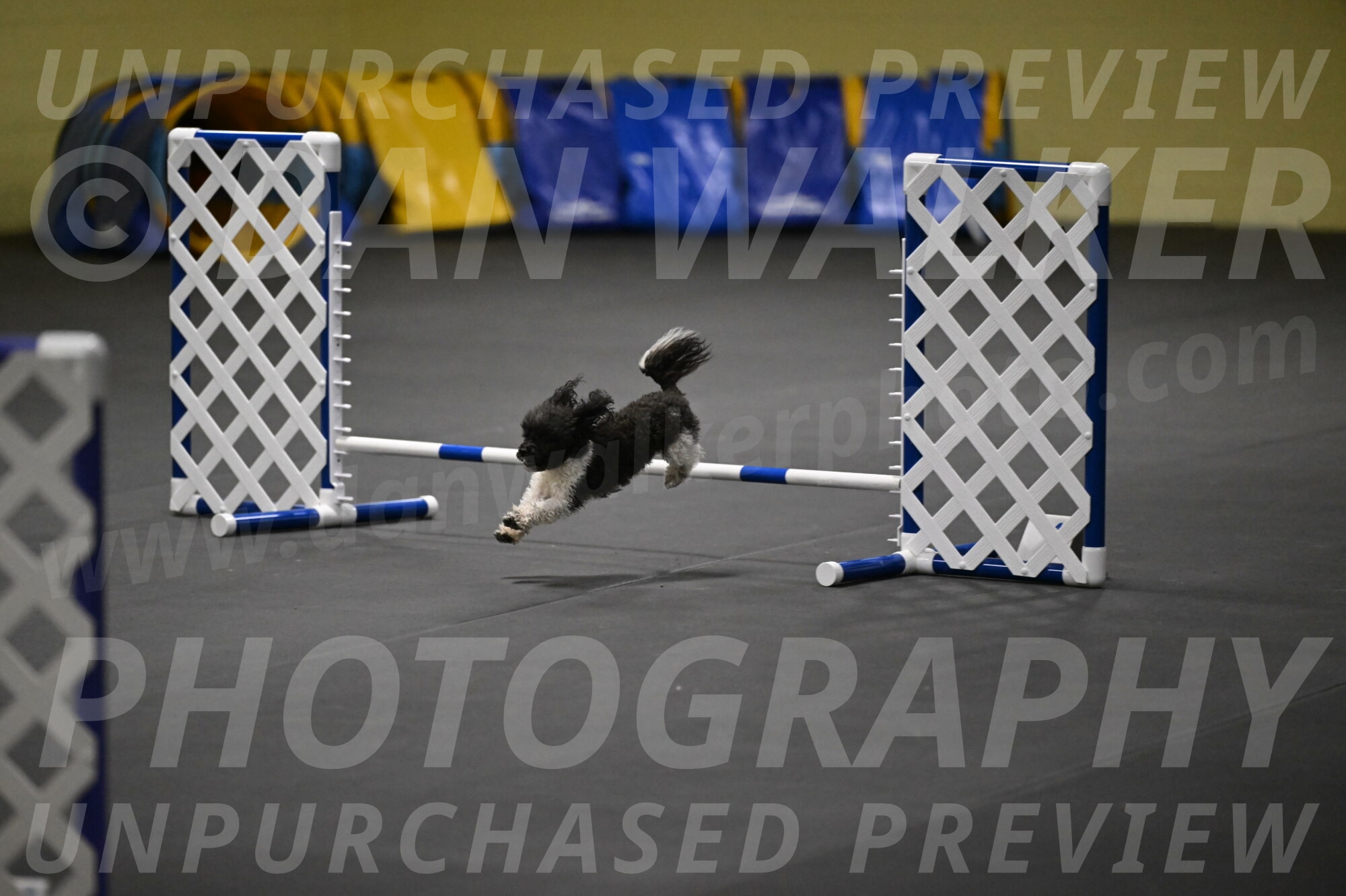 Cowboy-Bourell-Casey-08217