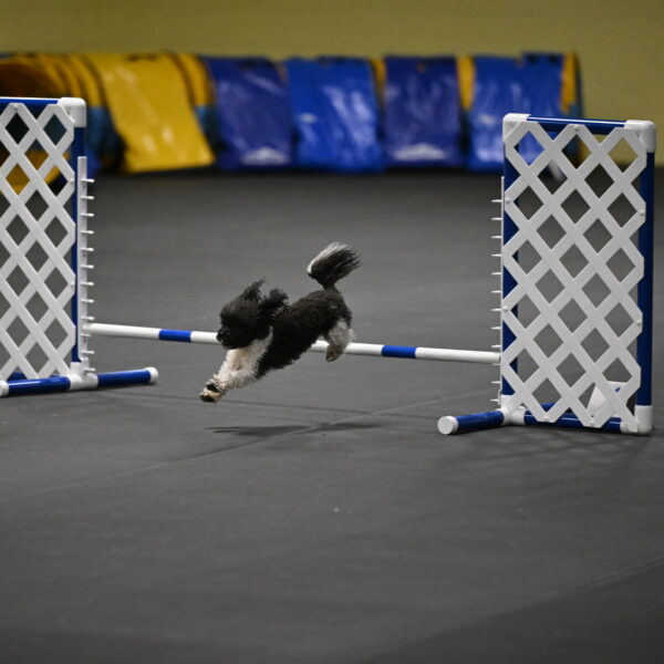 Cowboy-Bourell-Casey-08217