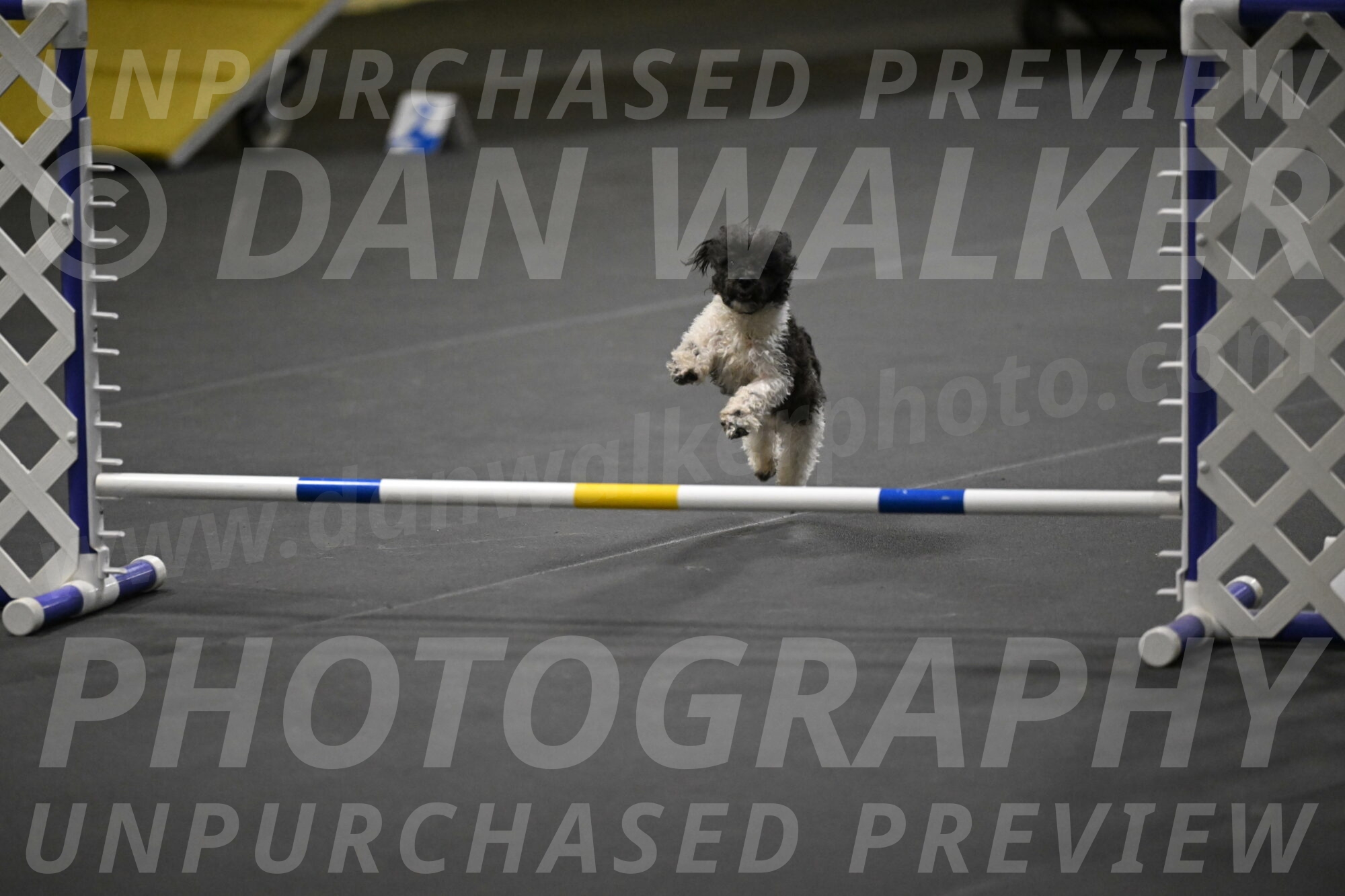 Cowboy-Bourell-Casey-08220