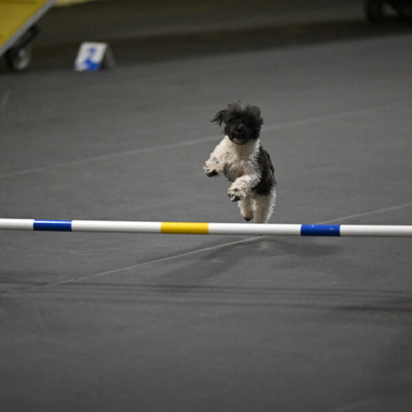 Cowboy-Bourell-Casey-08220