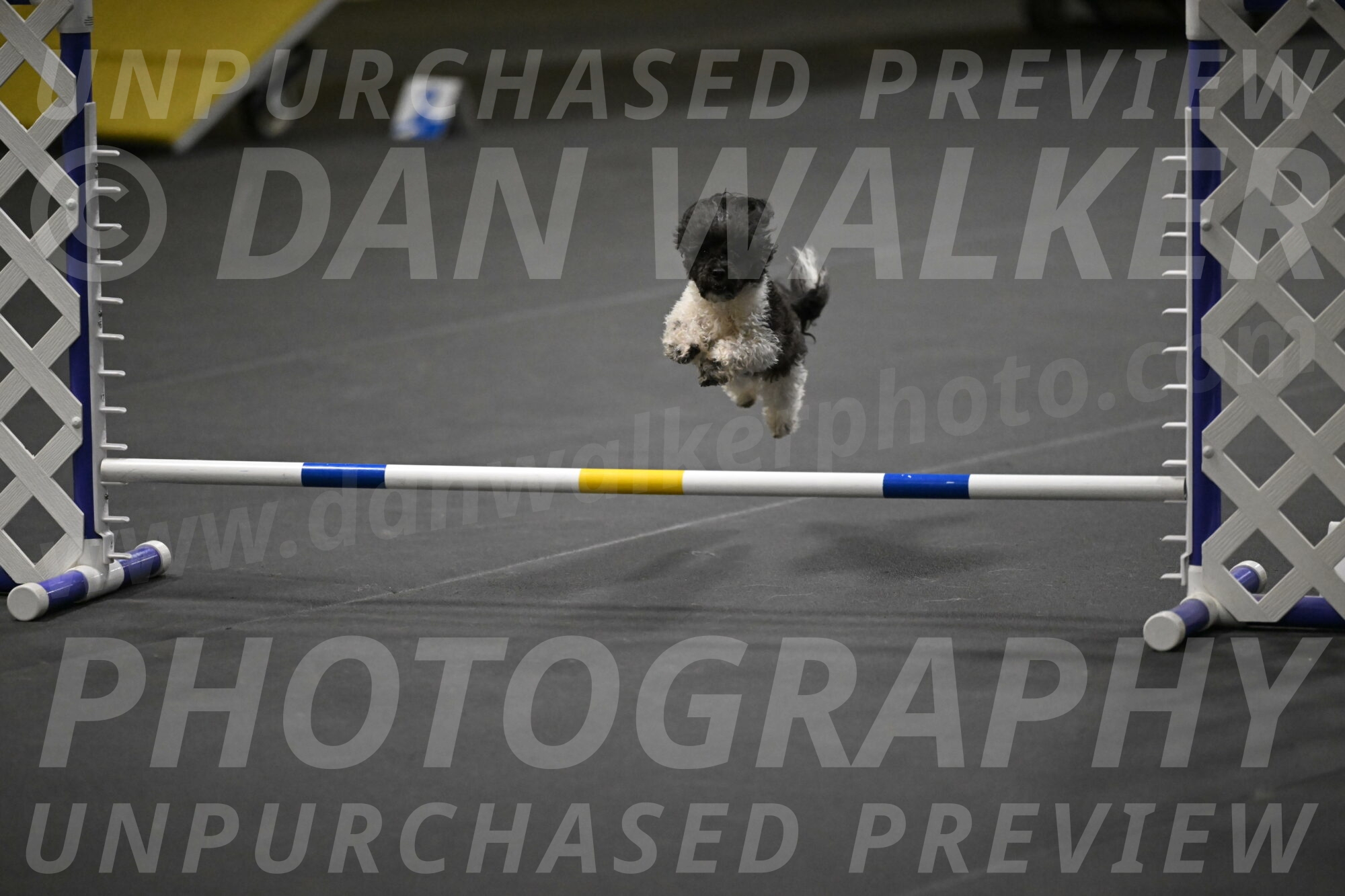 Cowboy-Bourell-Casey-08221