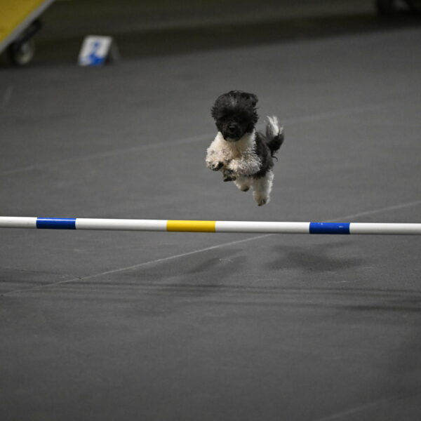 Cowboy-Bourell-Casey-08221