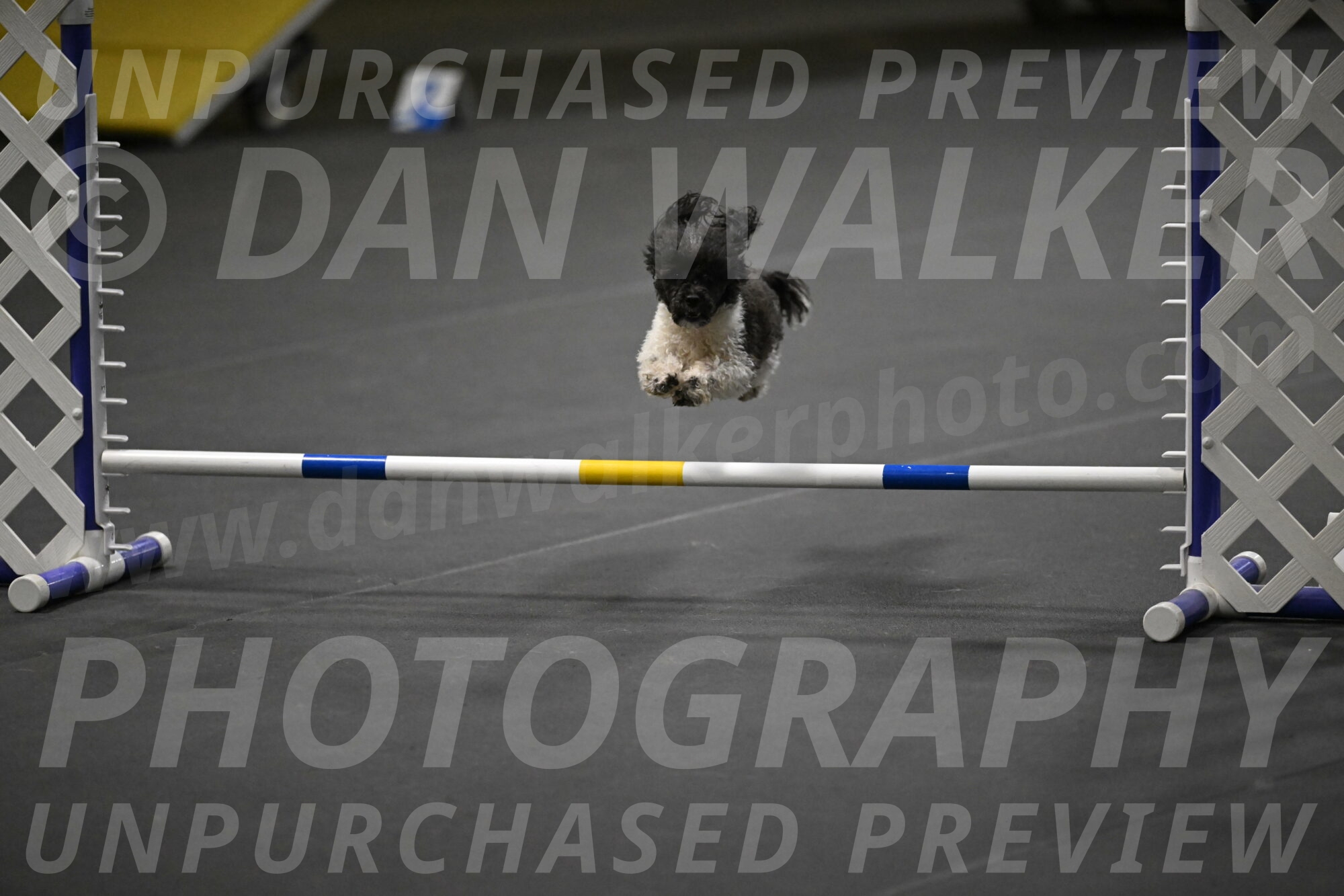 Cowboy-Bourell-Casey-08222