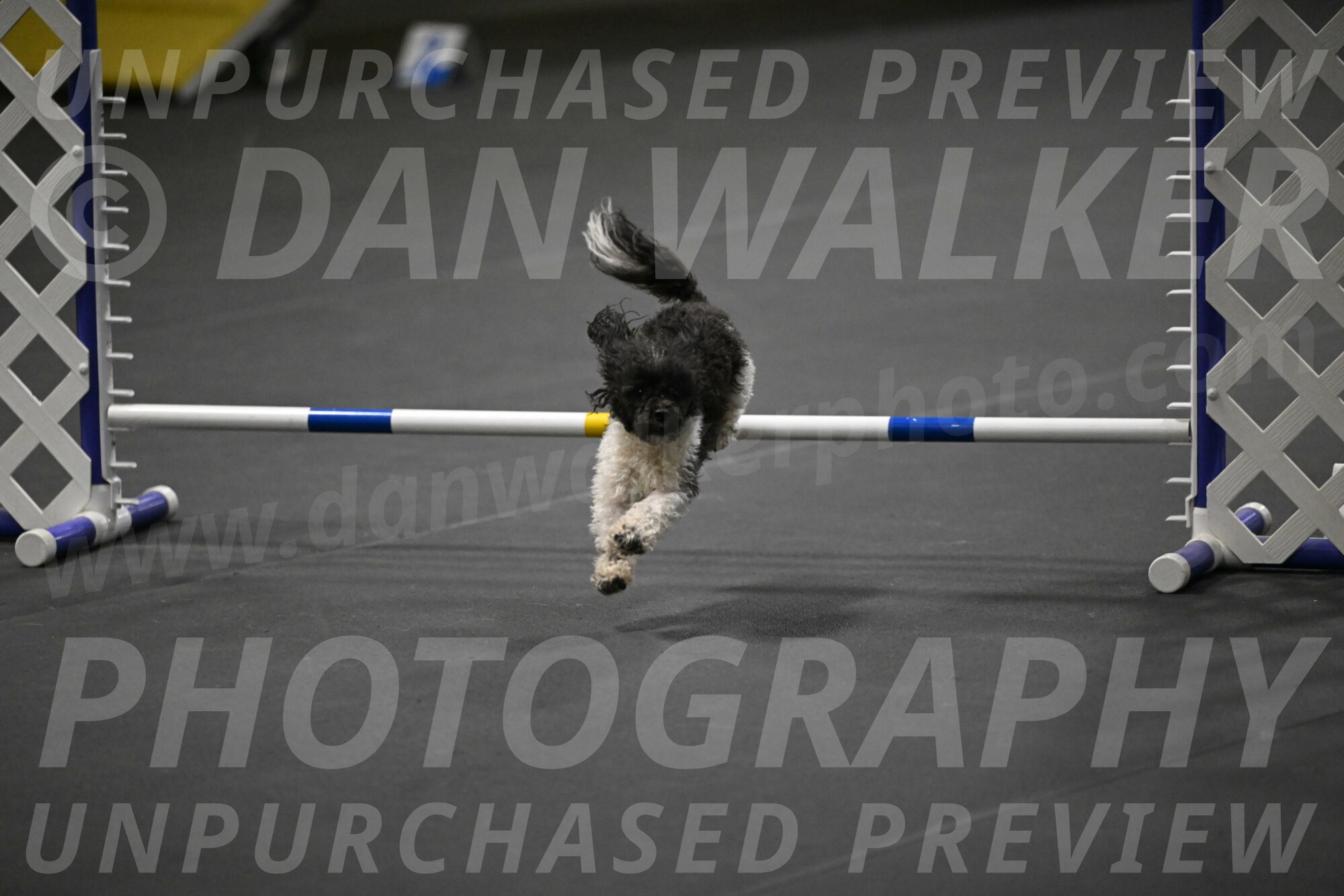 Cowboy-Bourell-Casey-08224