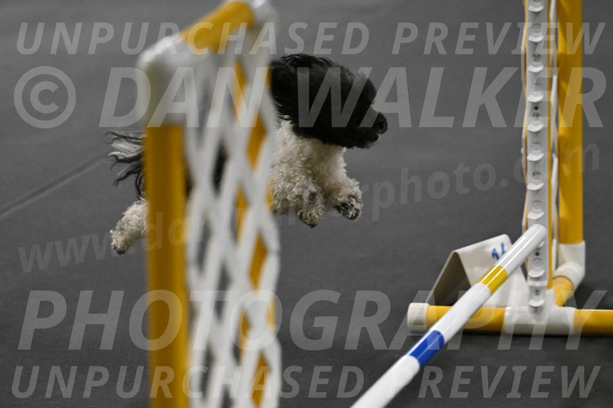 Cowboy-Bourell-Casey-08227