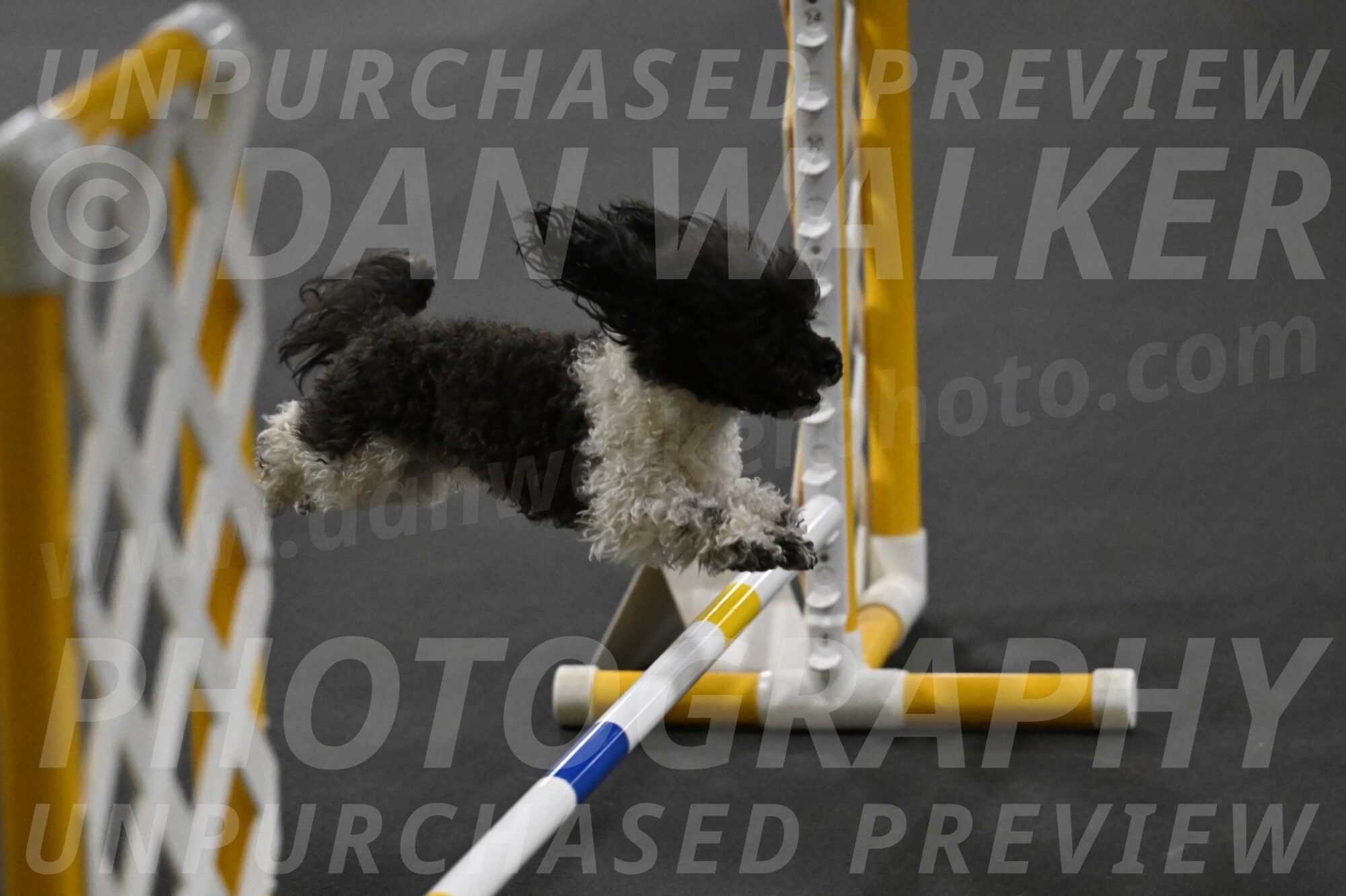 Cowboy-Bourell-Casey-08228