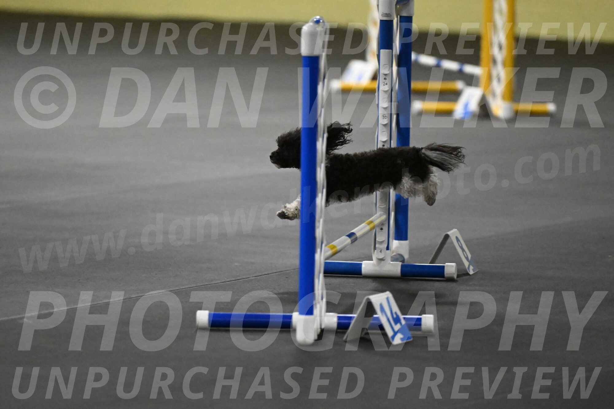 Cowboy-Bourell-Casey-08234