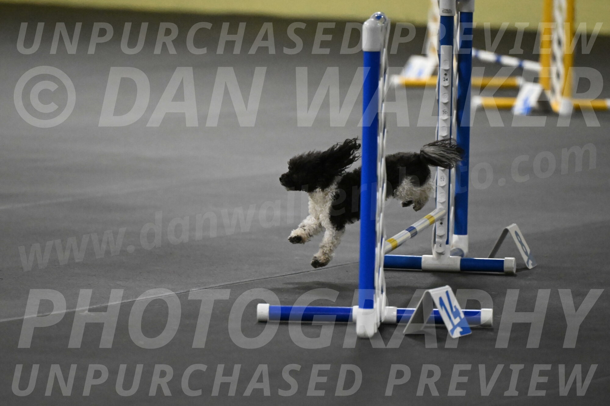 Cowboy-Bourell-Casey-08235