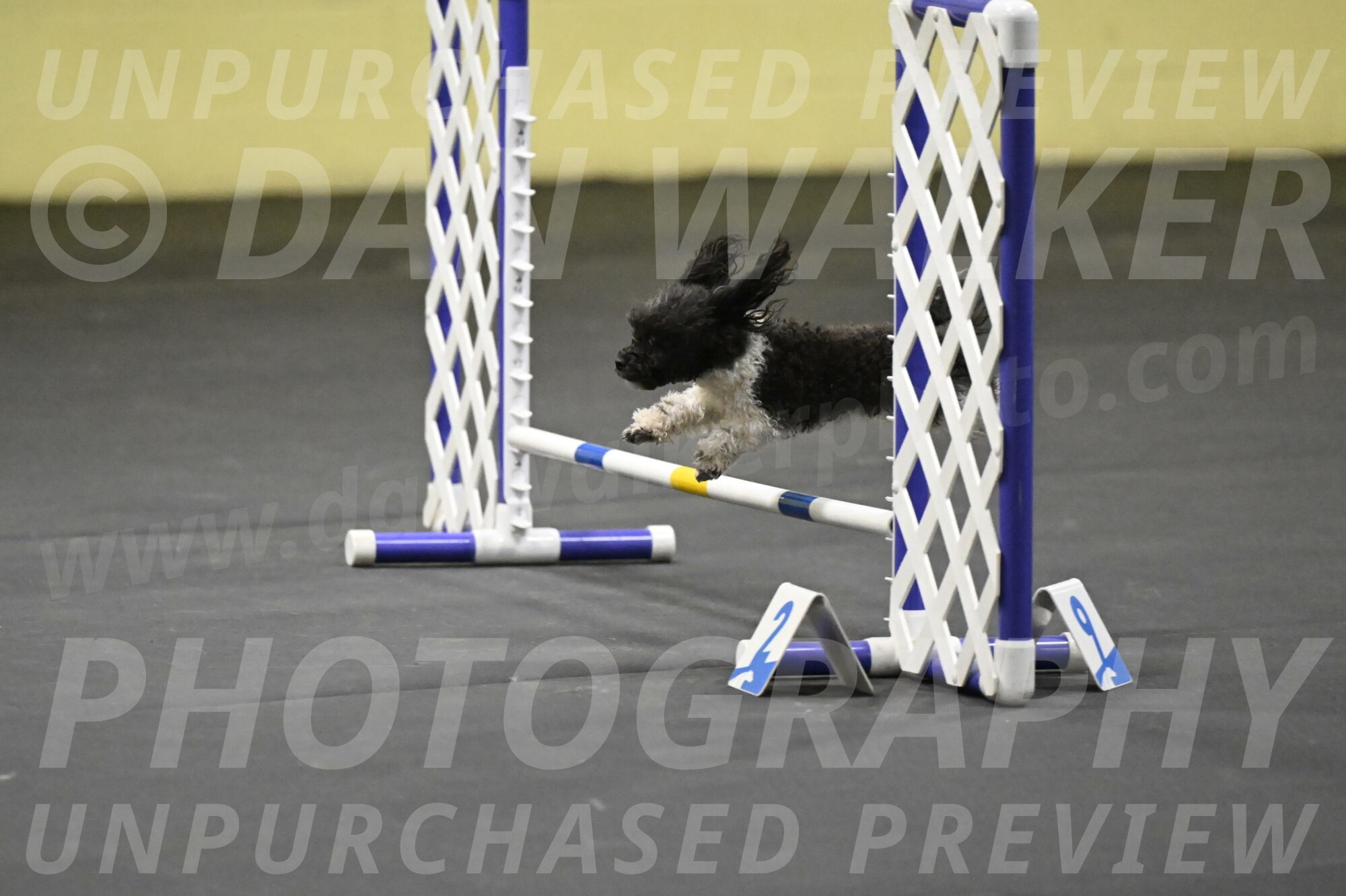 Cowboy-Bourell-Casey-08237