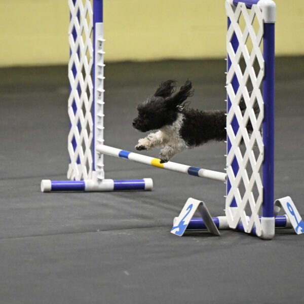 Cowboy-Bourell-Casey-08237