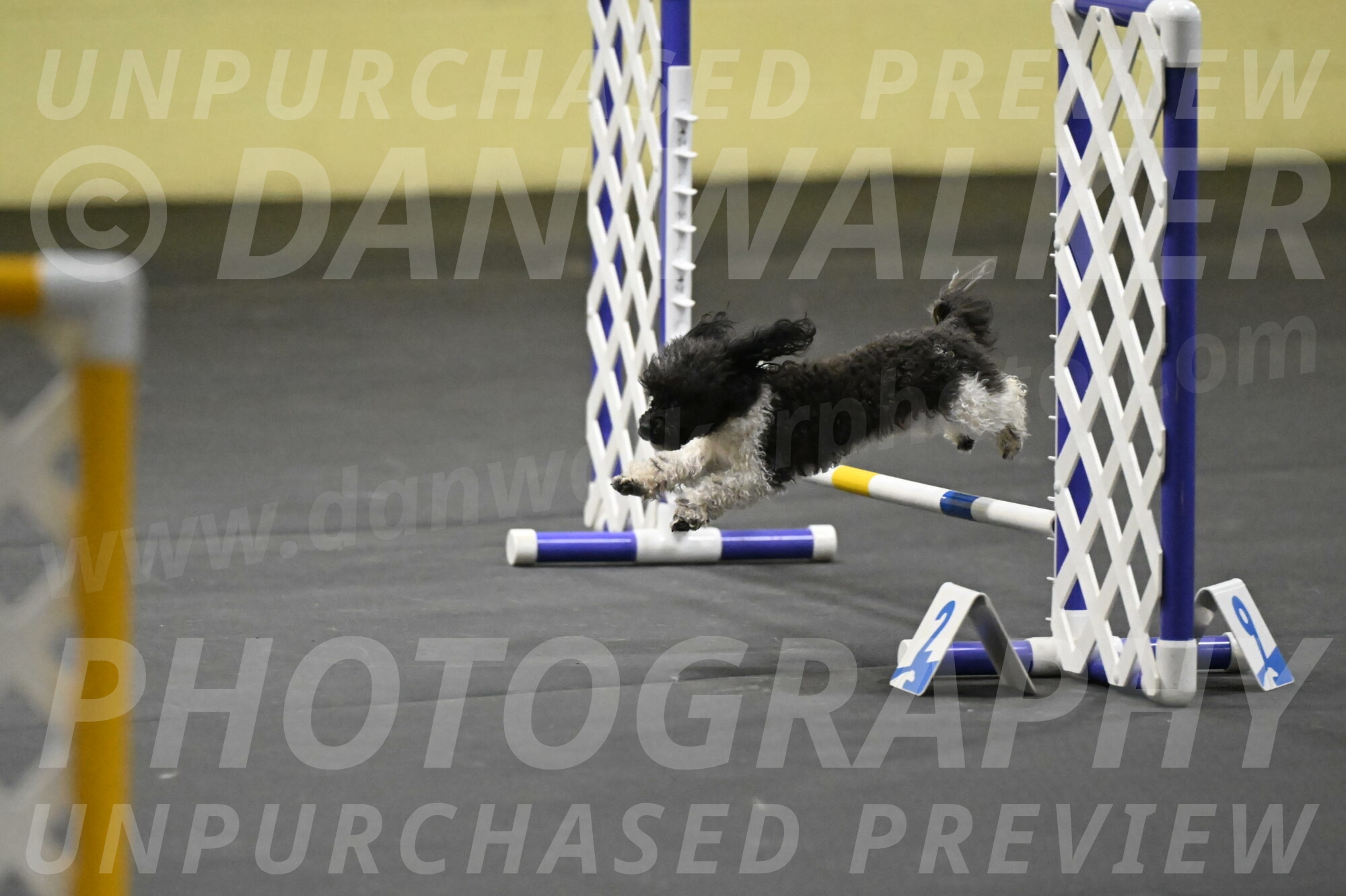 Cowboy-Bourell-Casey-08238