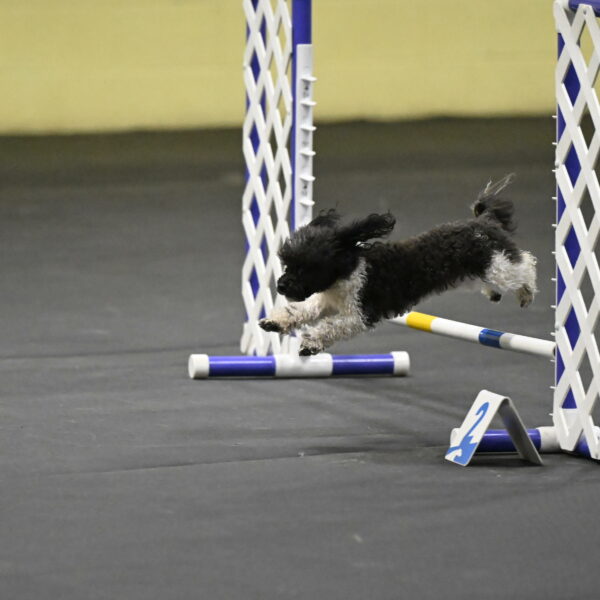 Cowboy-Bourell-Casey-08238