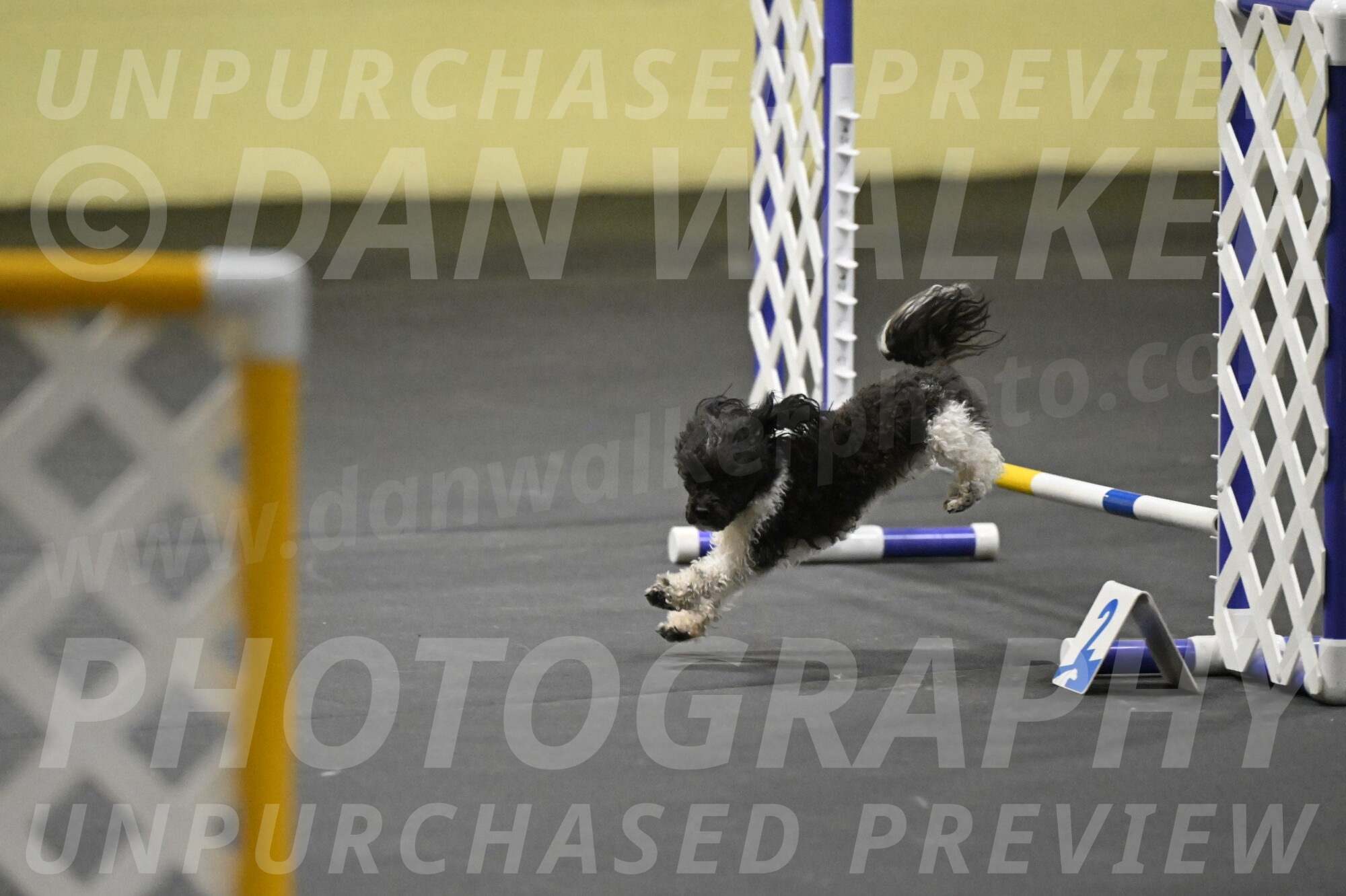 Cowboy-Bourell-Casey-08239