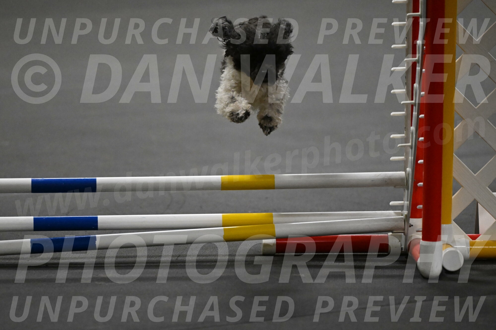 Cowboy-Bourell-Casey-08241