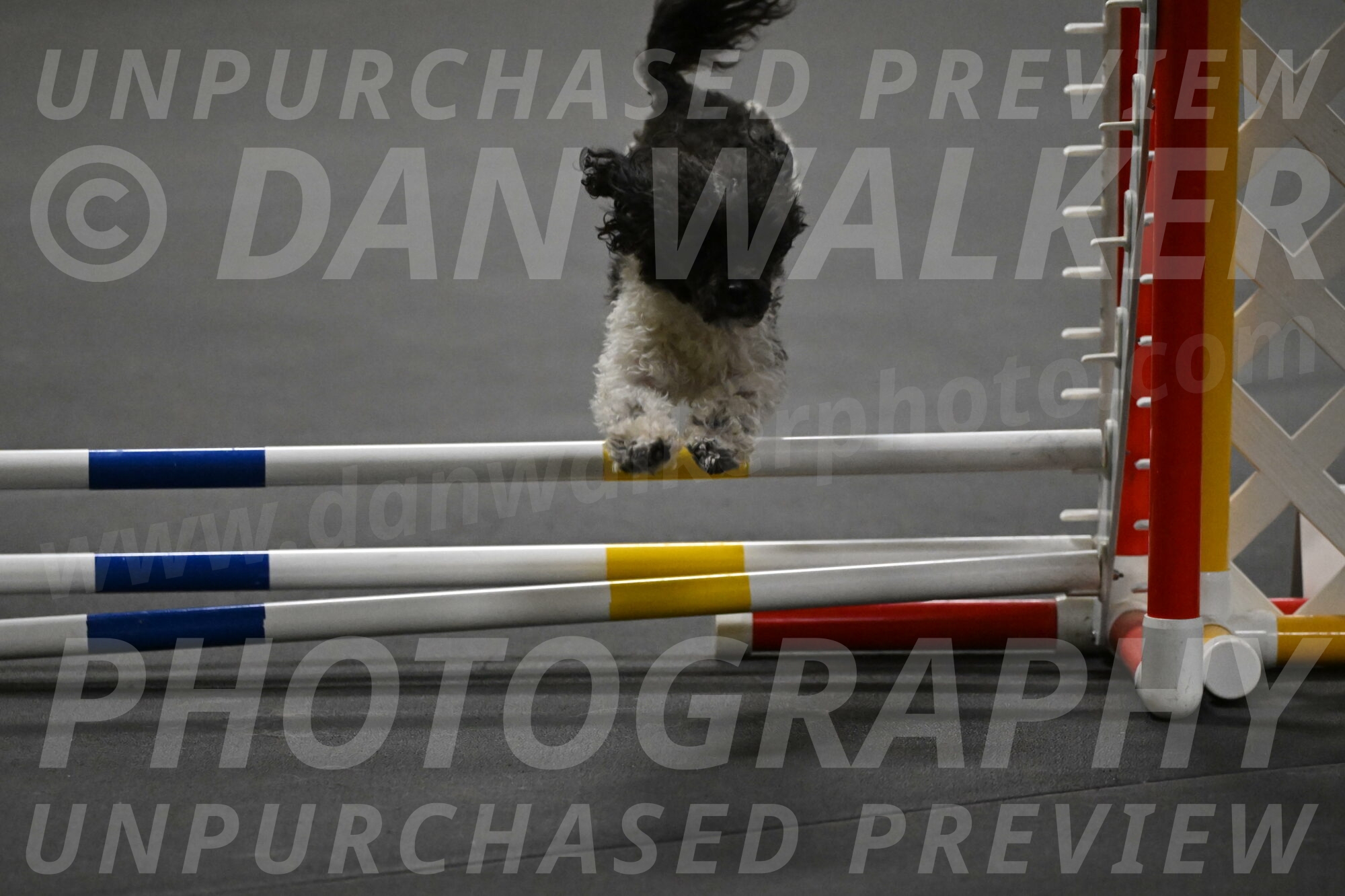 Cowboy-Bourell-Casey-08242