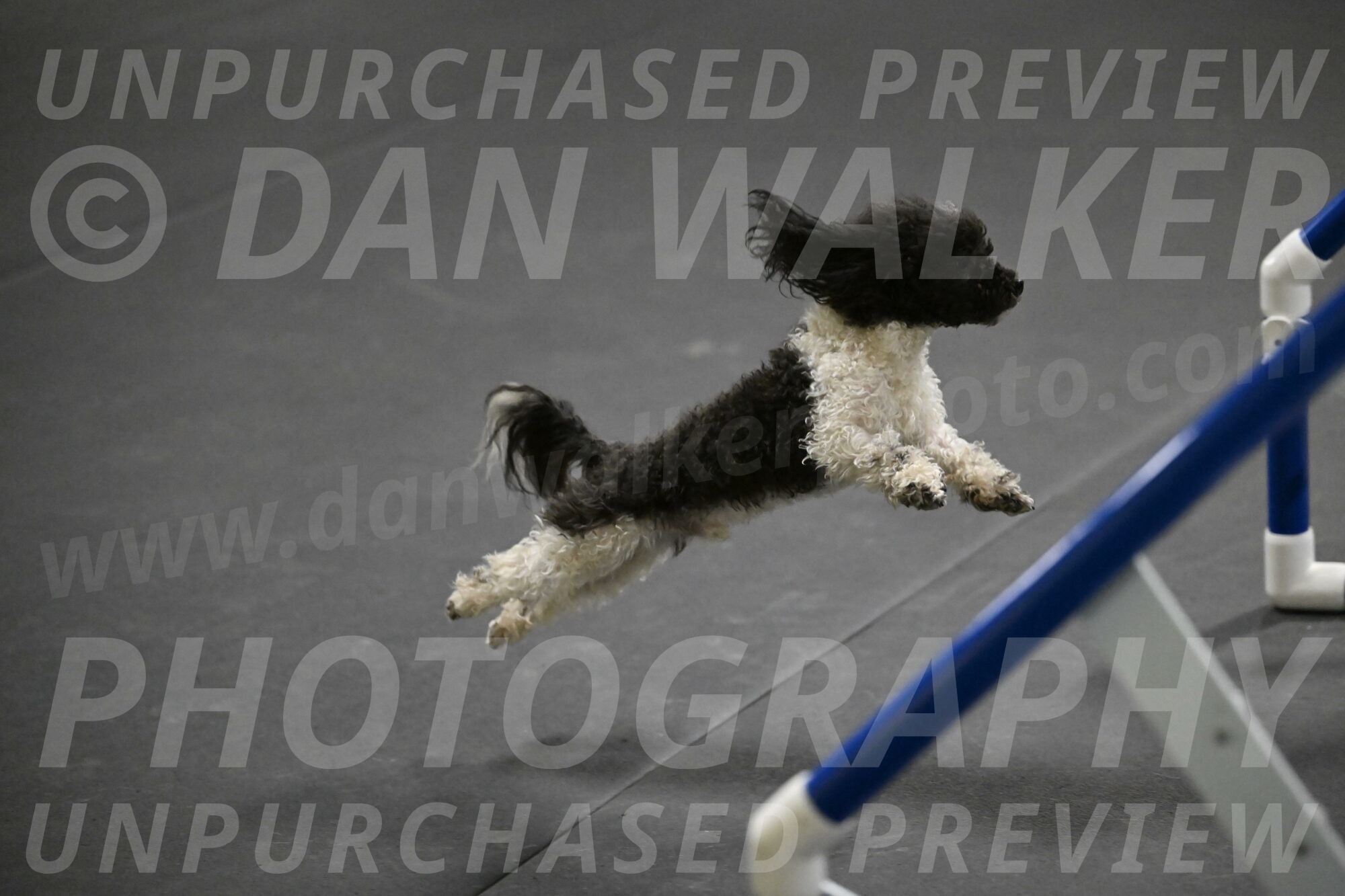 Cowboy-Bourell-Casey-08247