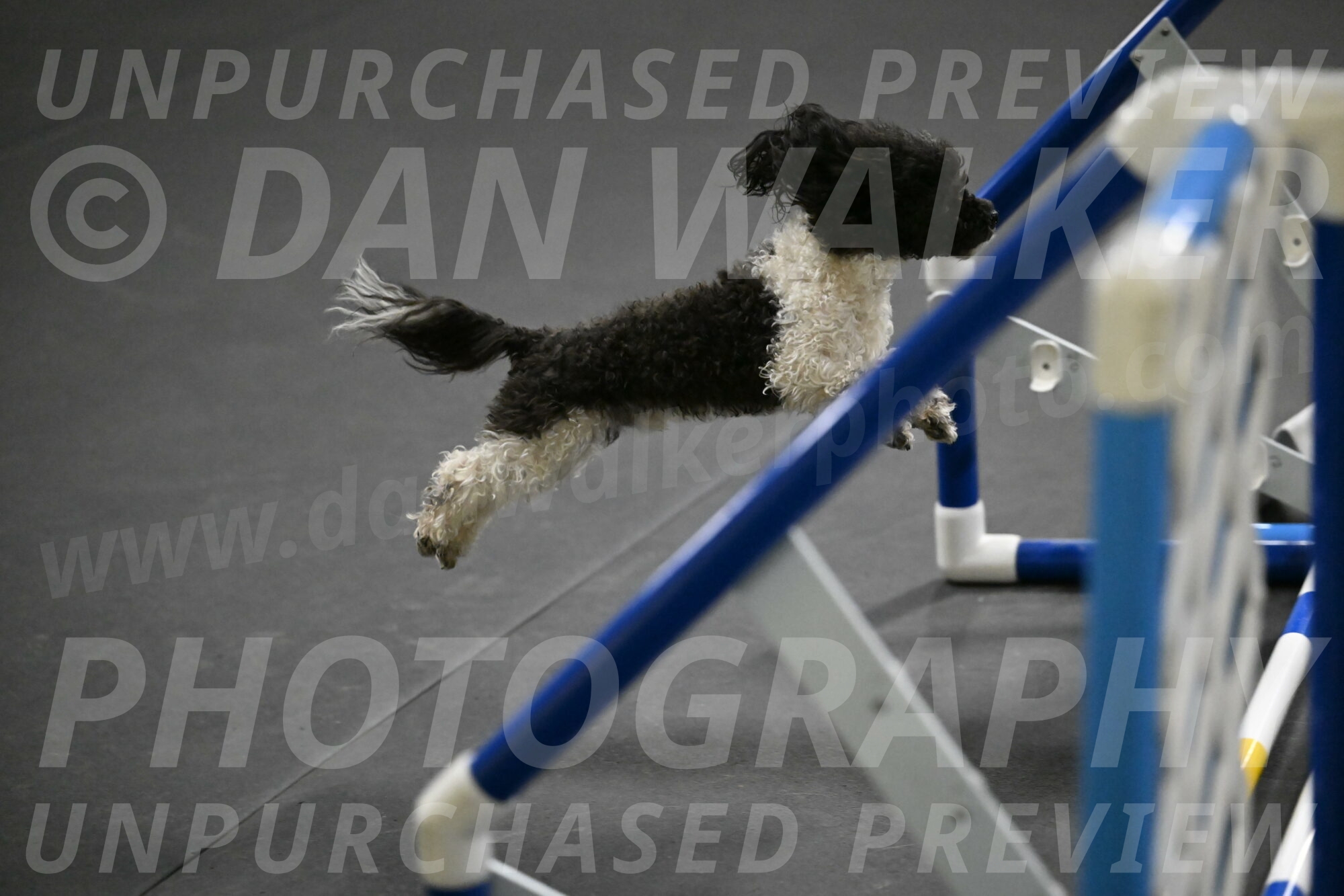 Cowboy-Bourell-Casey-08248