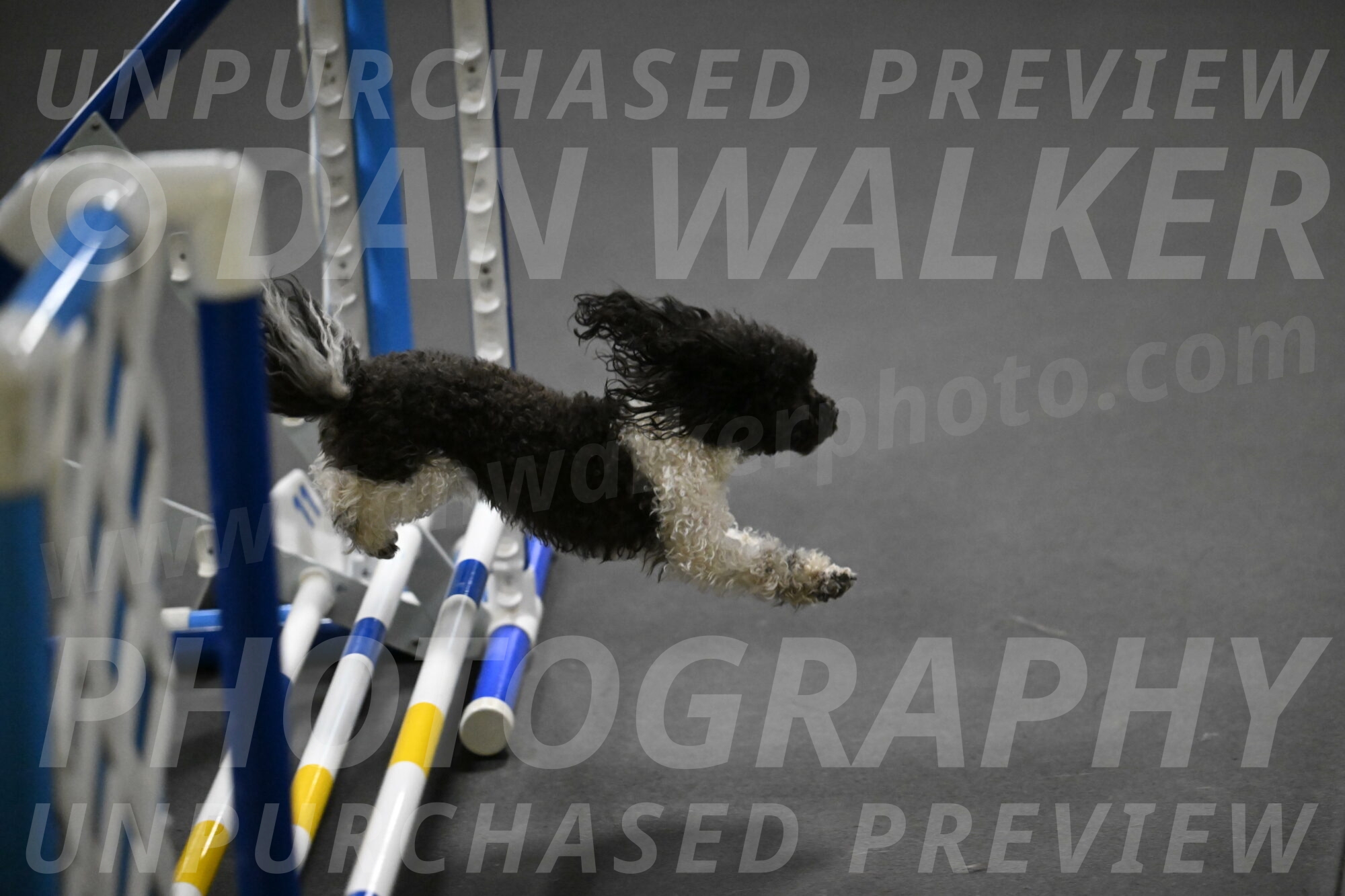 Cowboy-Bourell-Casey-08251