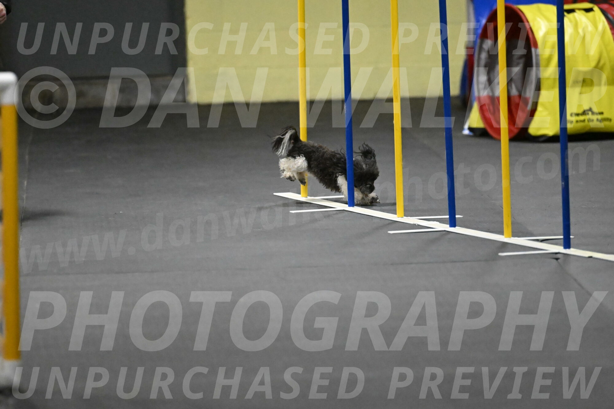 Cowboy-Bourell-Casey-08254