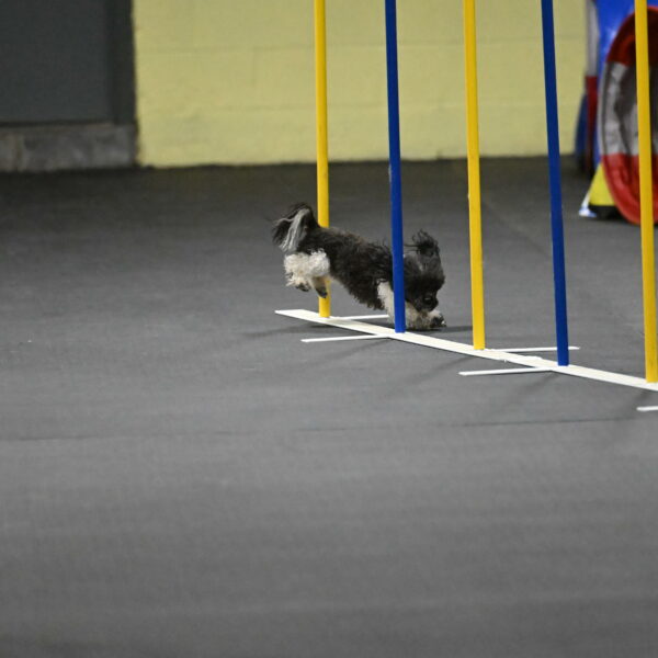 Cowboy-Bourell-Casey-08254