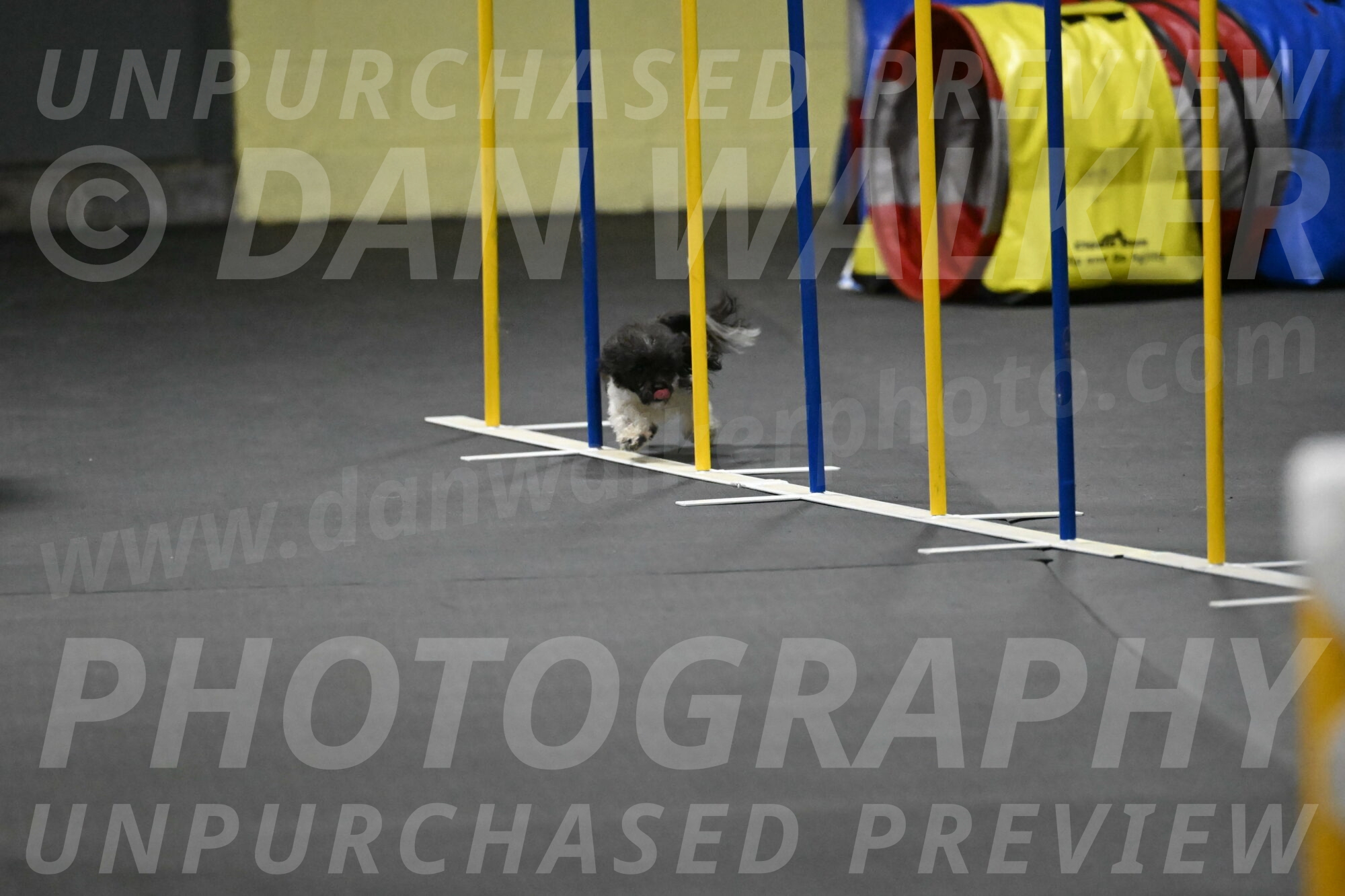 Cowboy-Bourell-Casey-08257