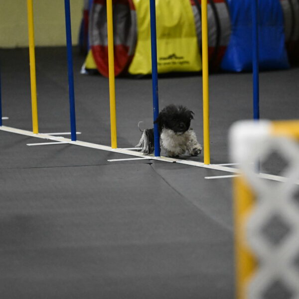 Cowboy-Bourell-Casey-08269