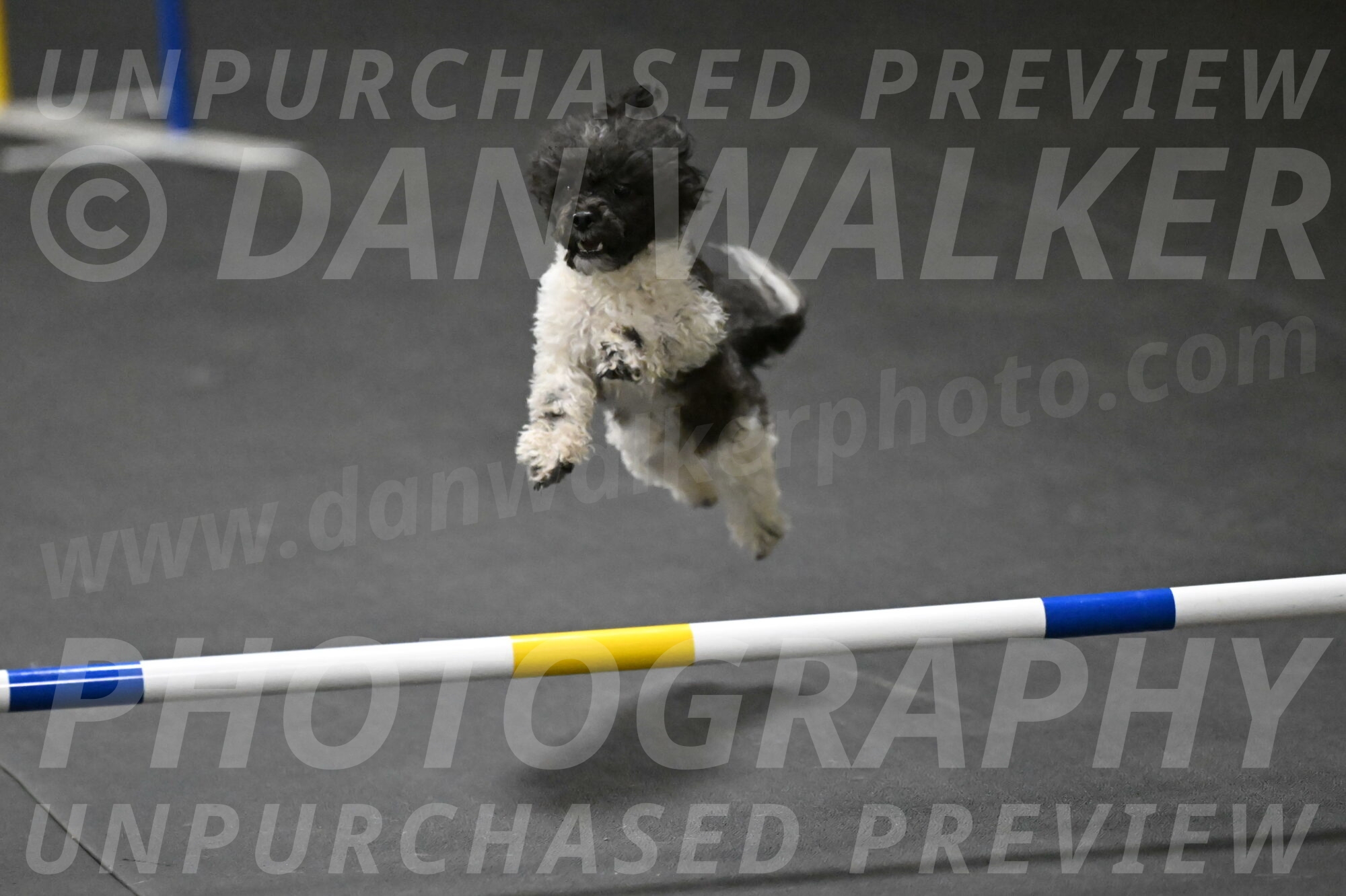 Cowboy-Bourell-Casey-08277