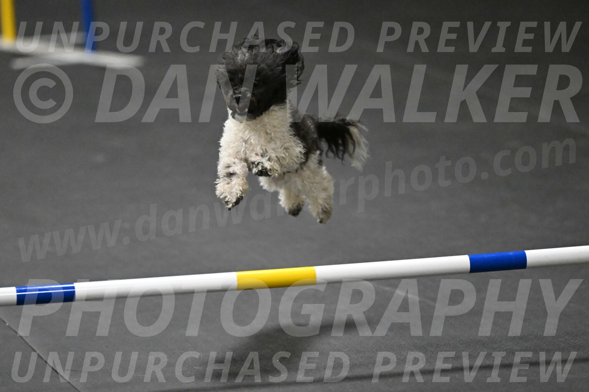 Cowboy-Bourell-Casey-08278