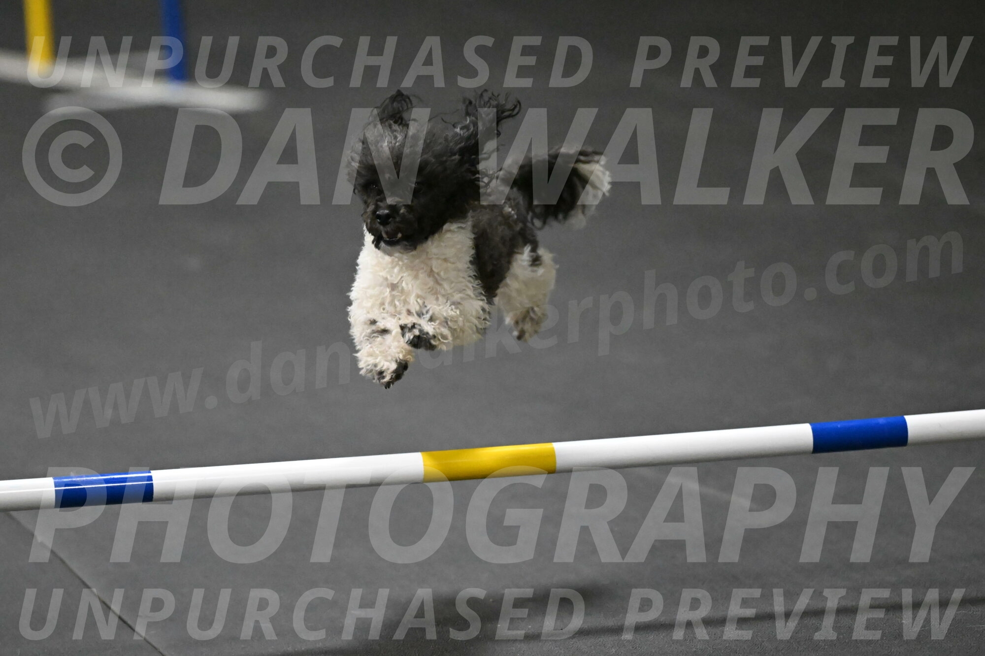 Cowboy-Bourell-Casey-08279