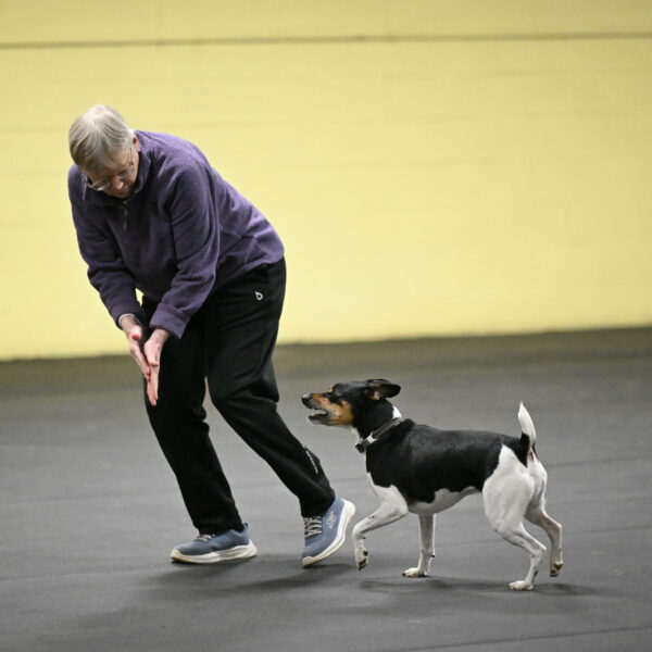 Denver-McGinty-01892