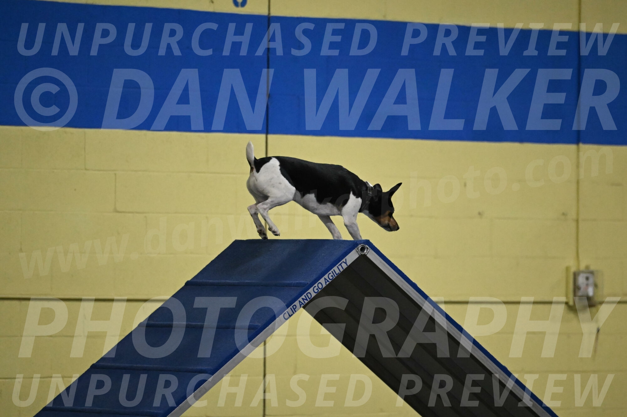 Denver-McGinty-01894