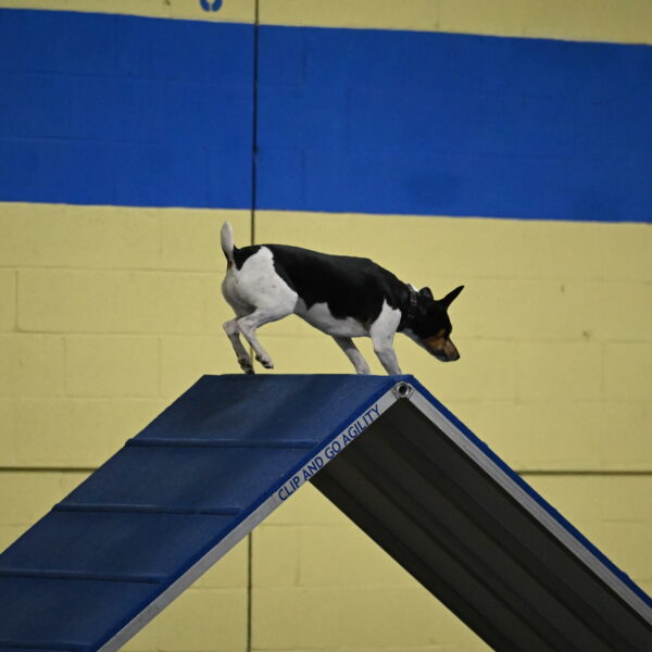 Denver-McGinty-01894