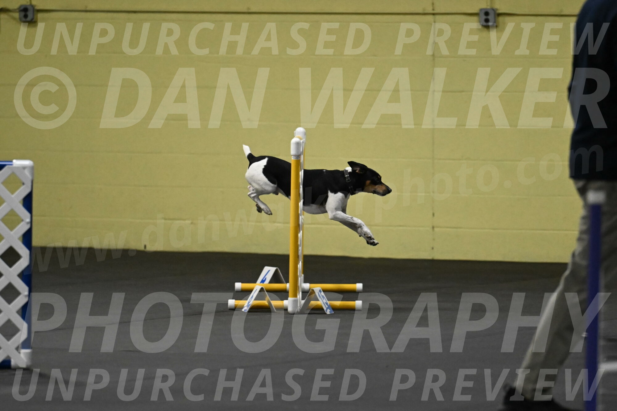 Denver-McGinty-01896