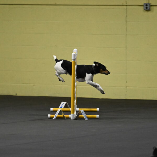 Denver-McGinty-01896