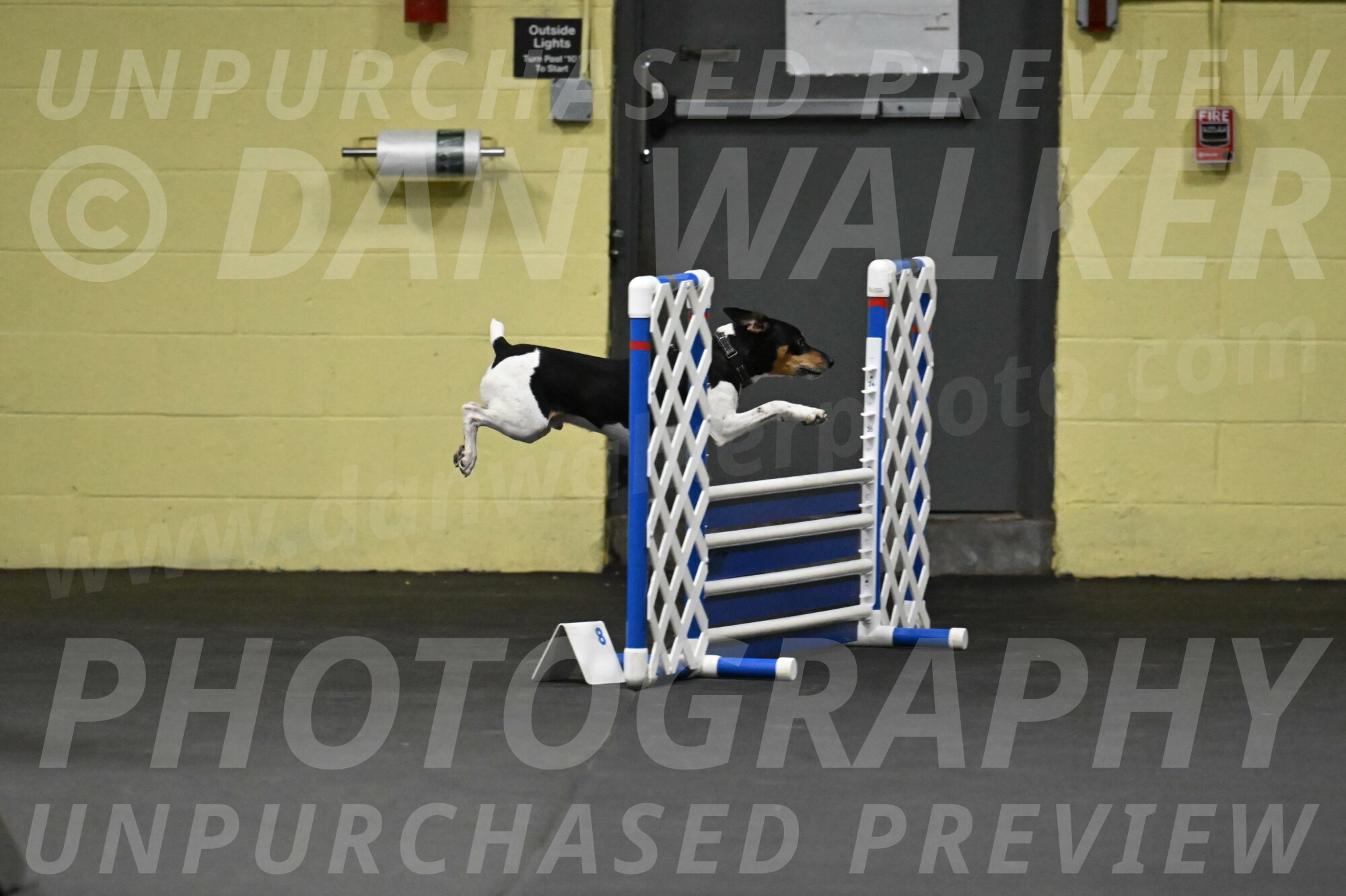 Denver-McGinty-01901